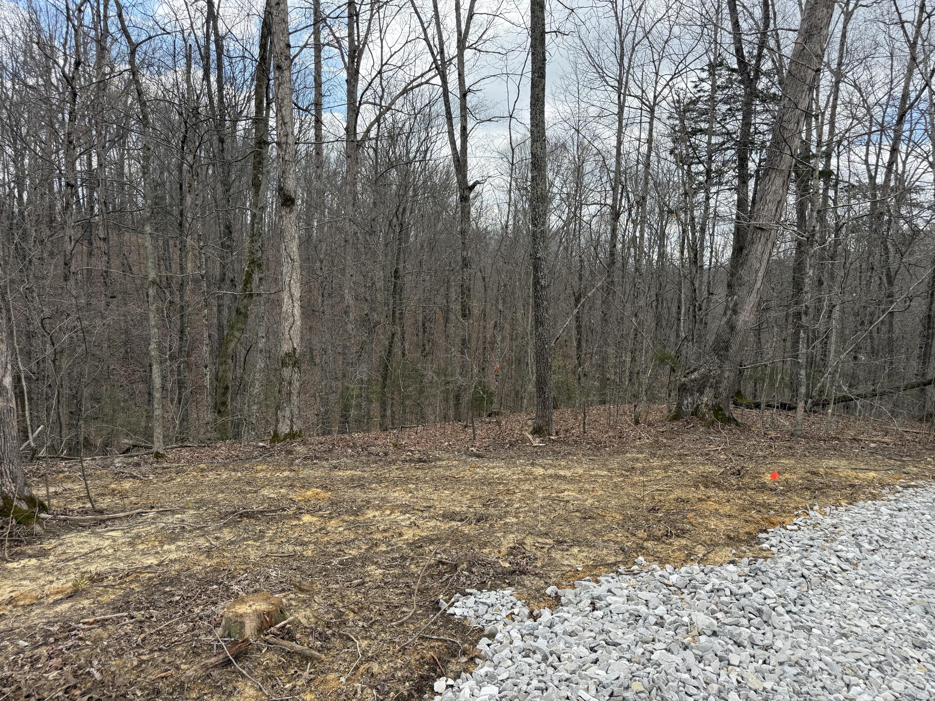 Lot 10 Phase 2 Stearns Hollow Road Property Photo 3