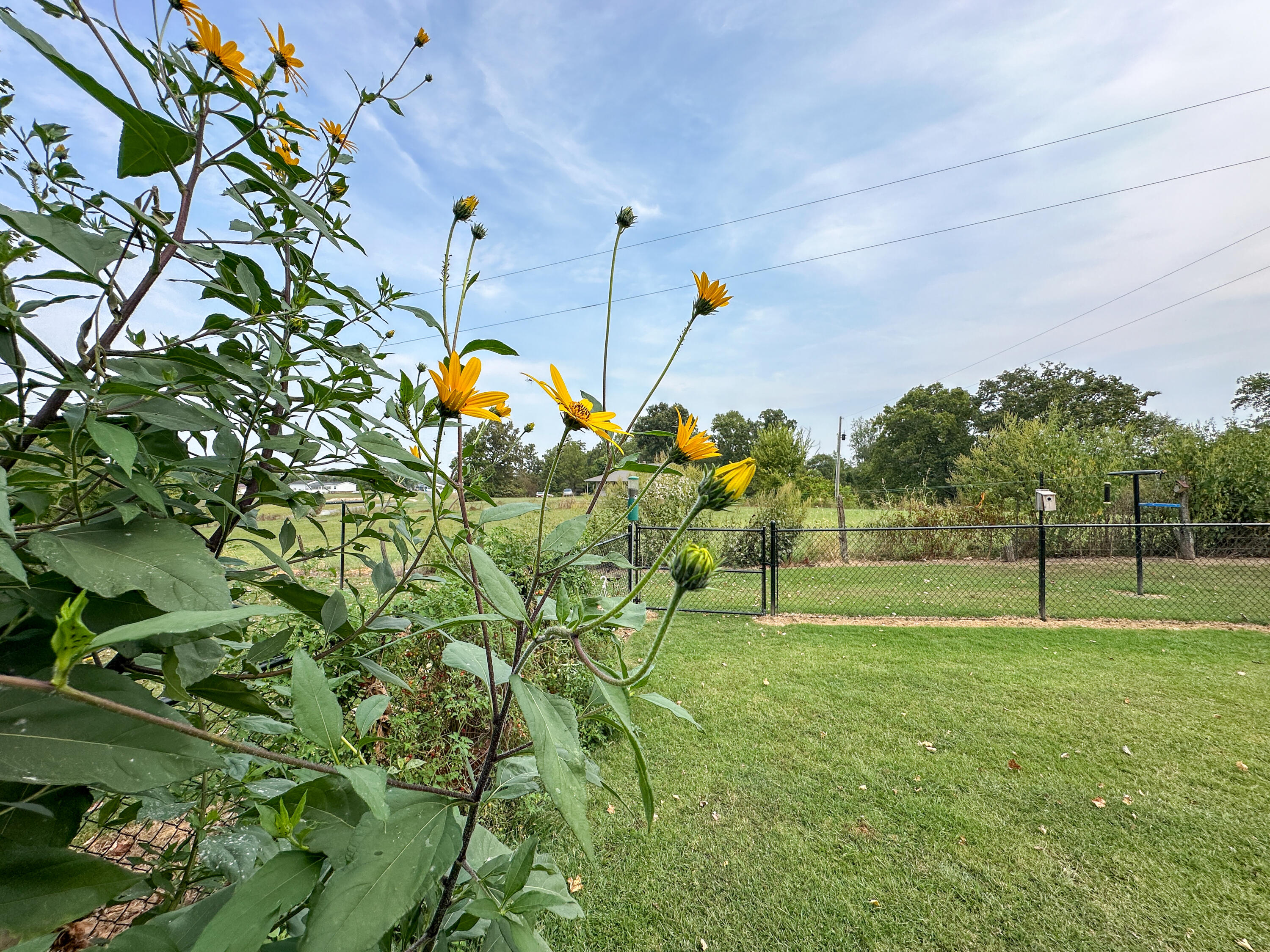 158 Fortenberry Road Property Photo 32