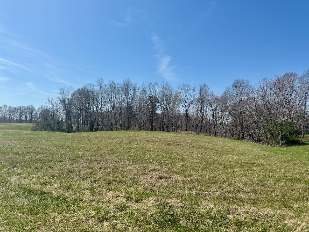 97 Paradise Alley Property Photo 9