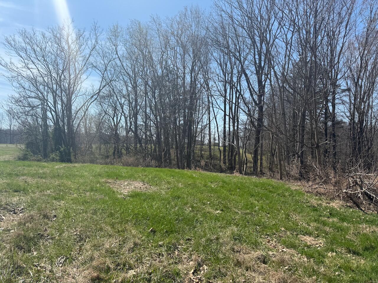 97 Paradise Alley Property Photo 10