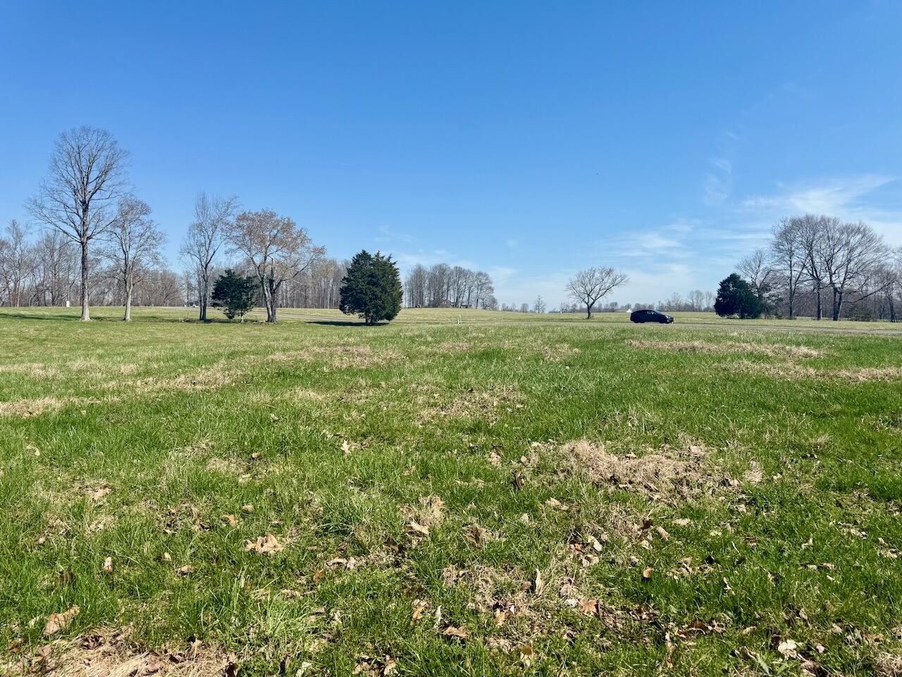 97 Paradise Alley Property Photo 11