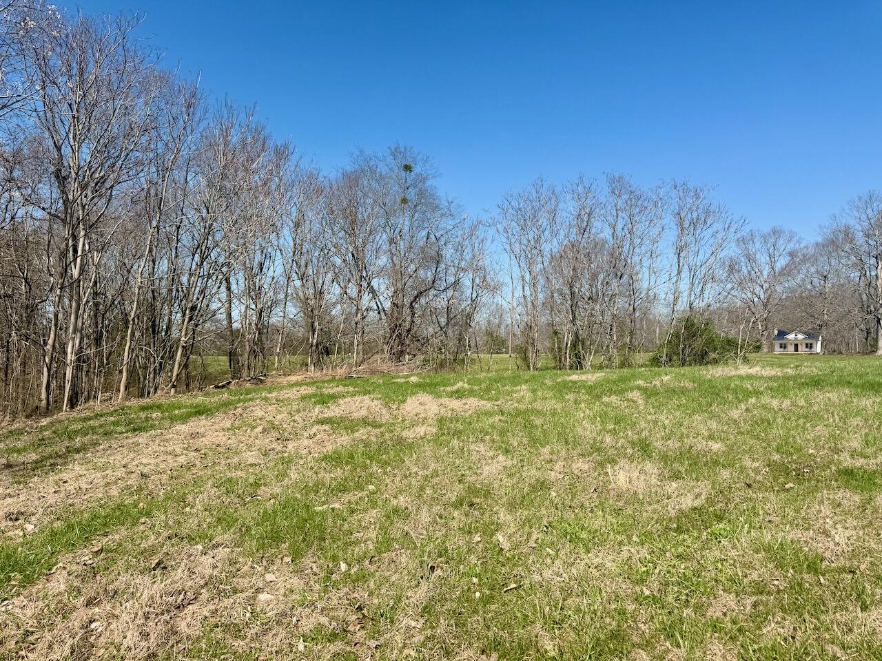 97 Paradise Alley Property Photo 12