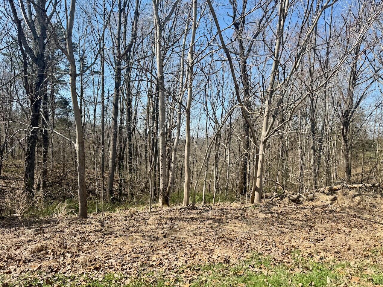 97 Paradise Alley Property Photo 15