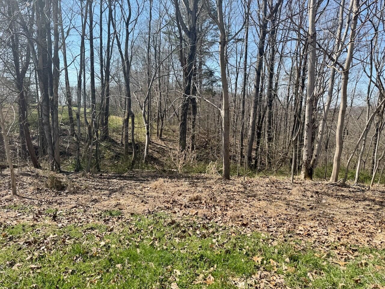 97 Paradise Alley Property Photo 16