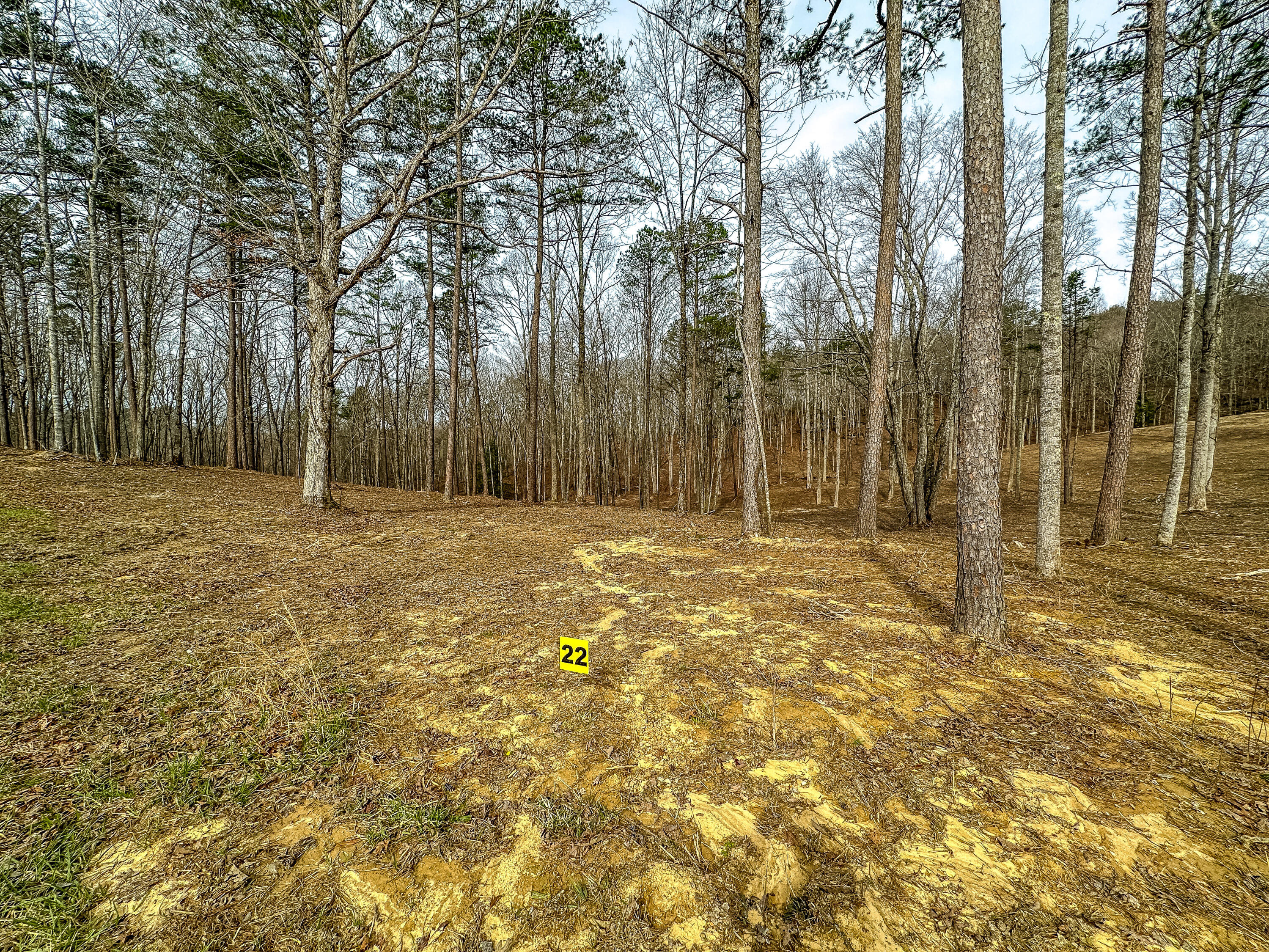 3977 Hazel Patch Road Property Photo 1