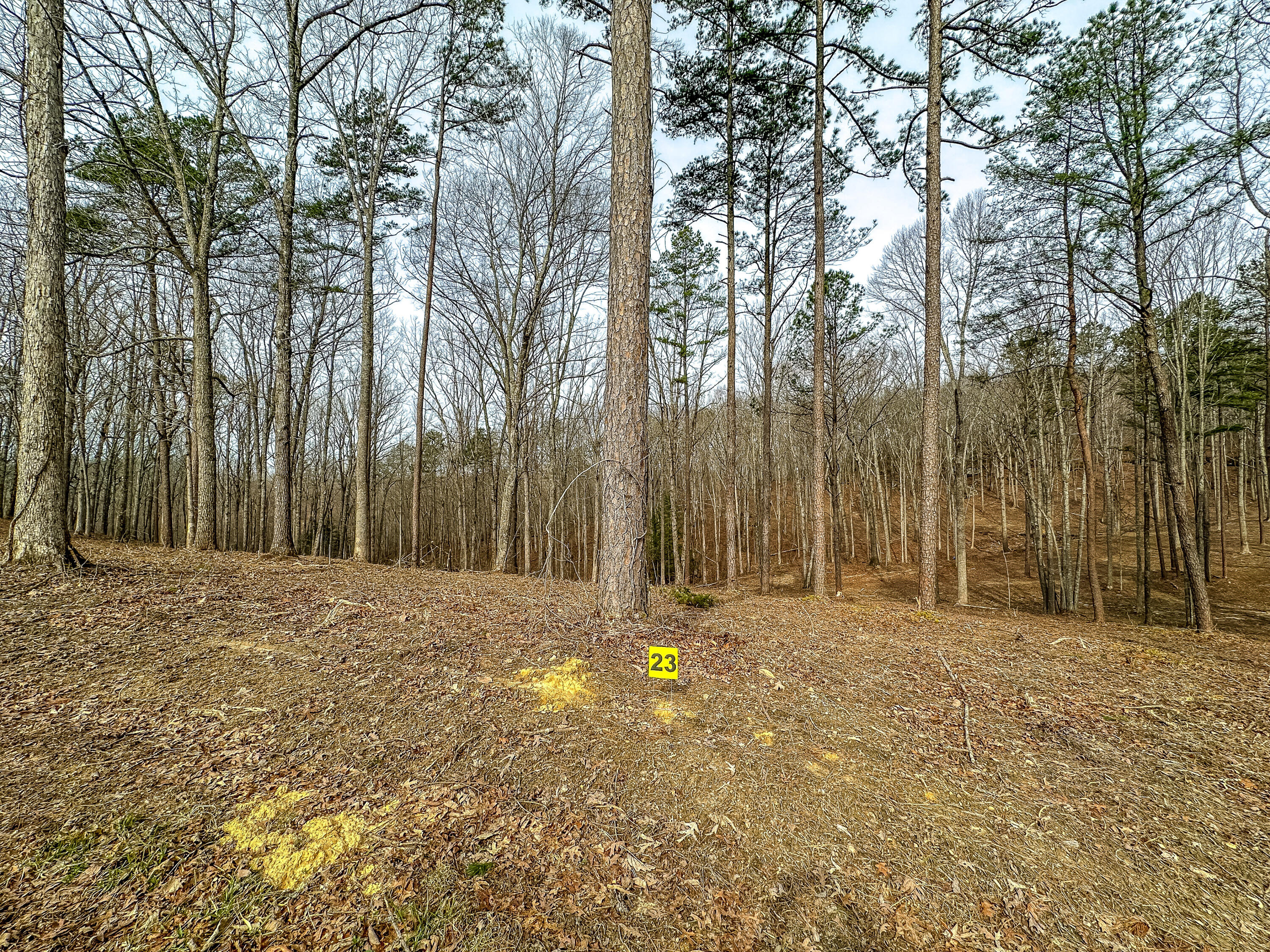 3972 Hazel Patch Road Property Photo 1