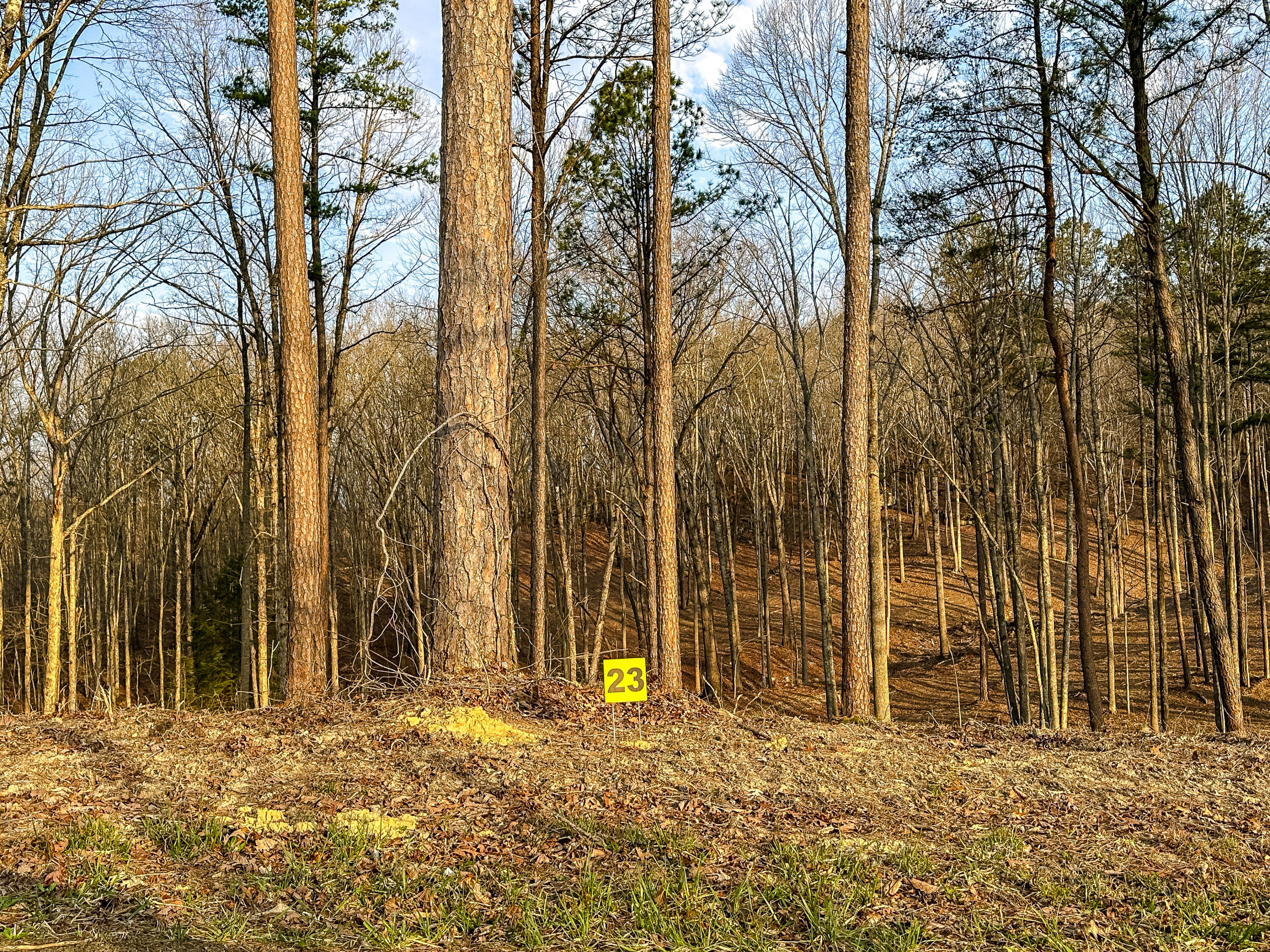 3972 Hazel Patch Road Property Photo 5