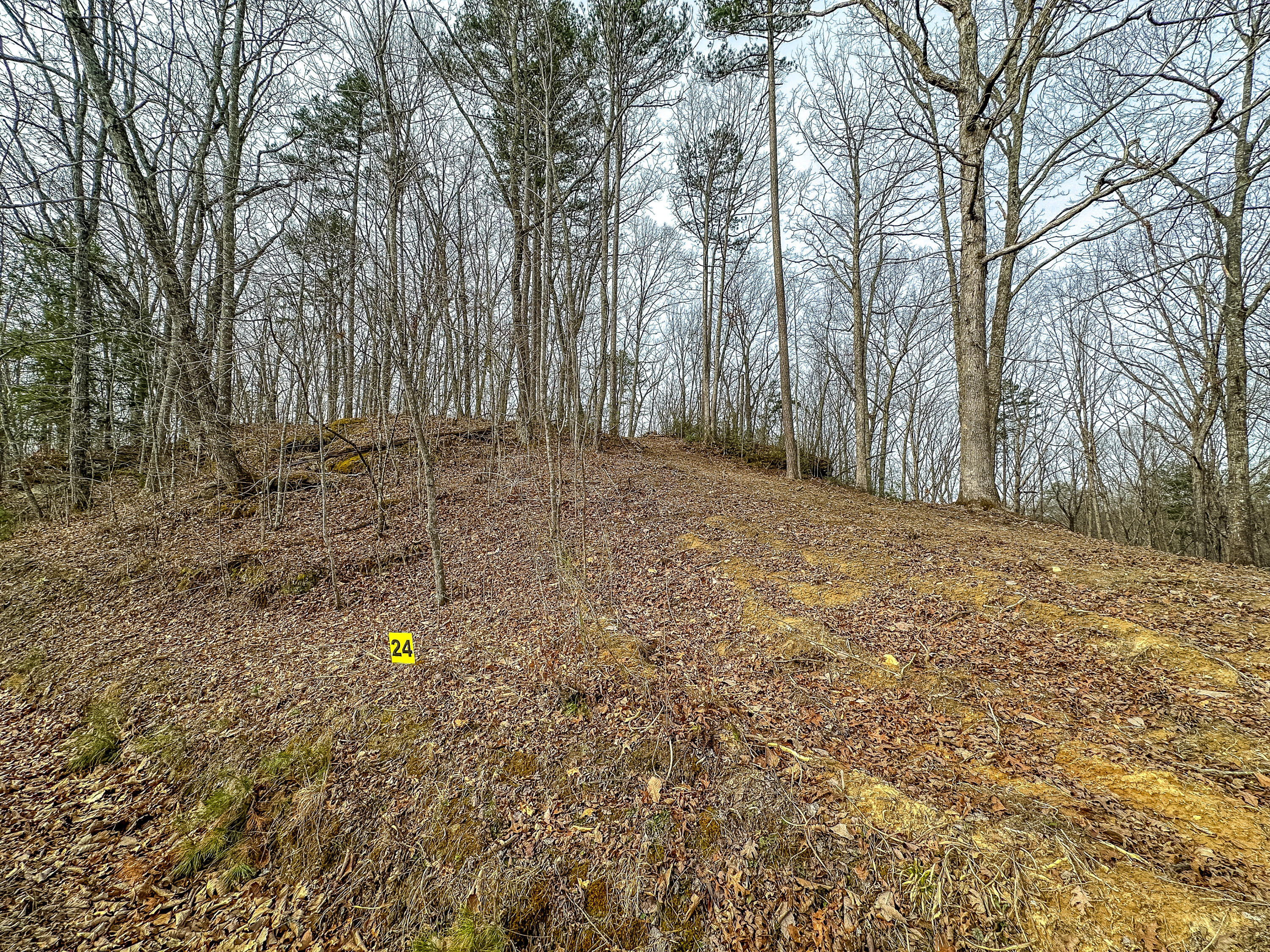 3967 Hazel Patch Road Property Photo 1
