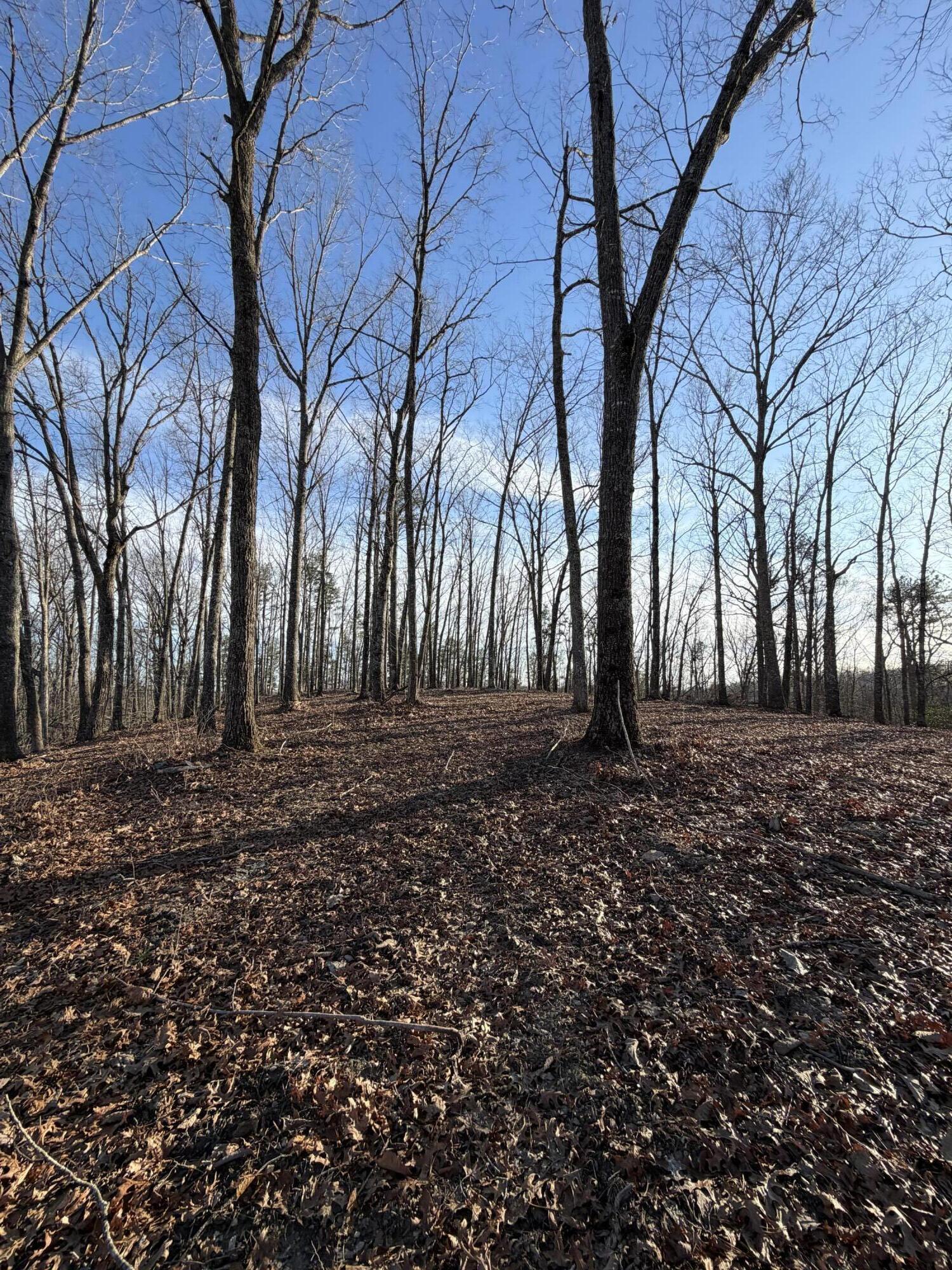 3967 Hazel Patch Road Property Photo 2