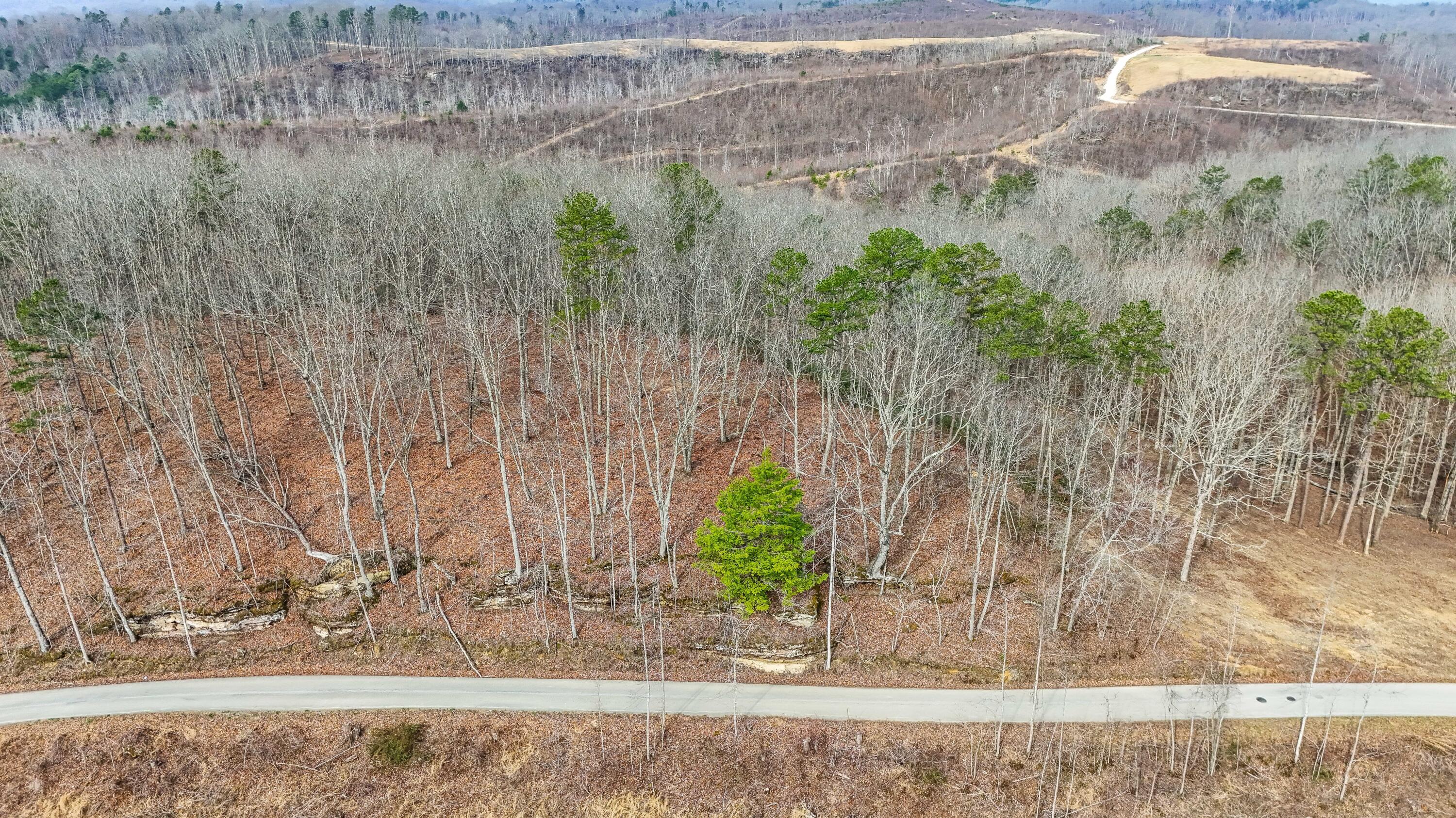 3967 Hazel Patch Road Property Photo 3