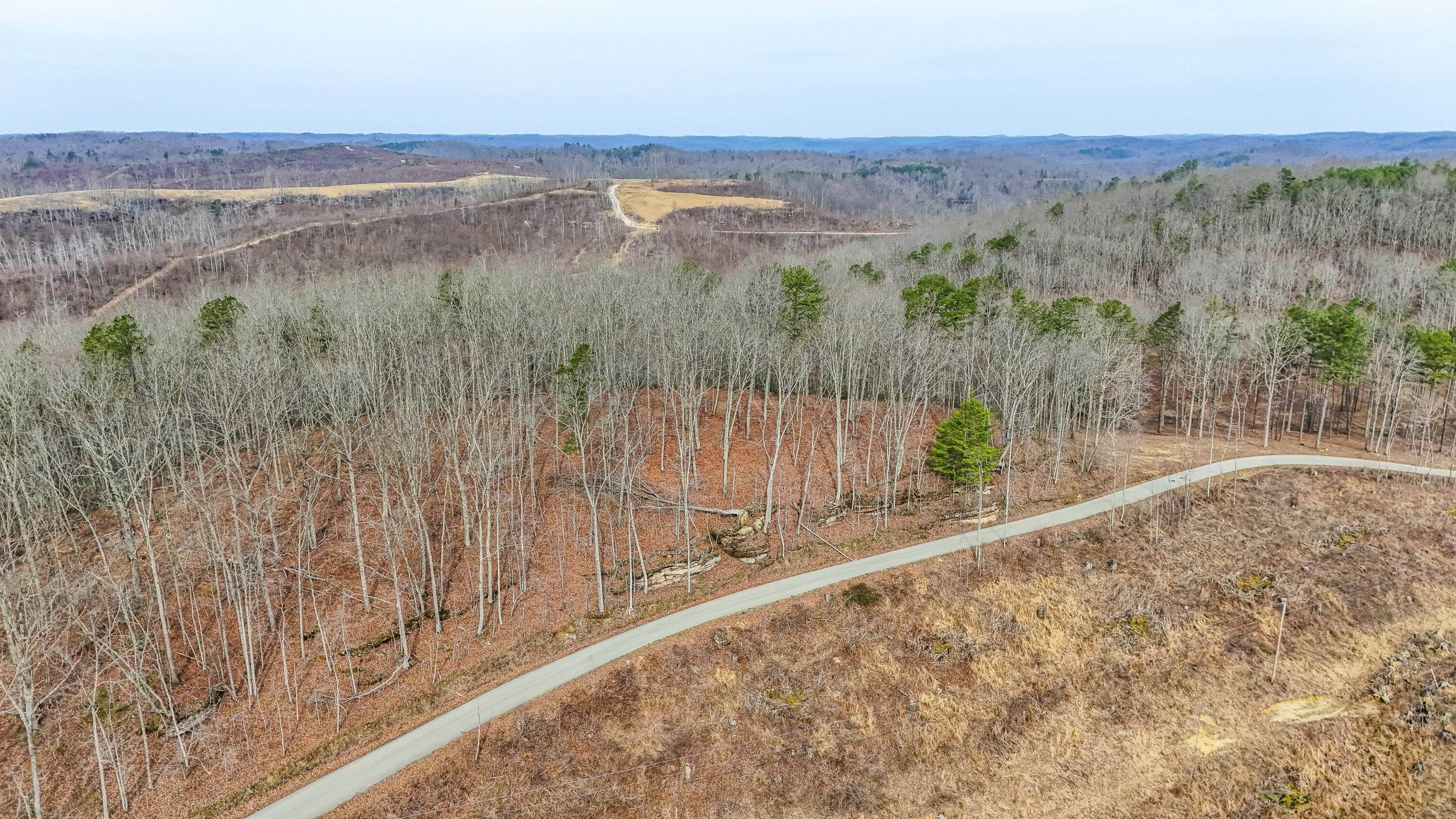 3967 Hazel Patch Road Property Photo 4