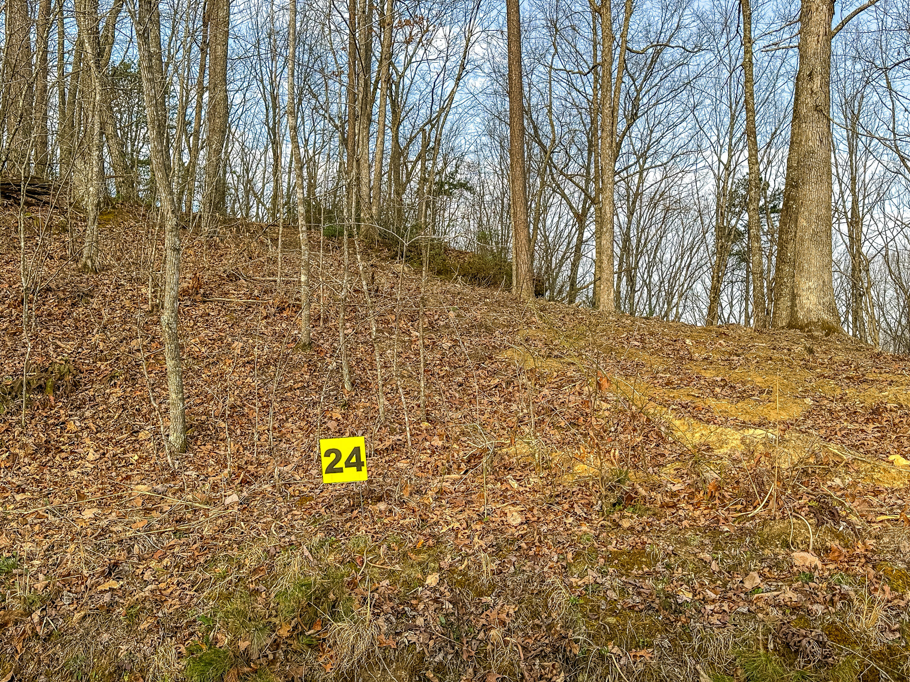 3967 Hazel Patch Road Property Photo 9