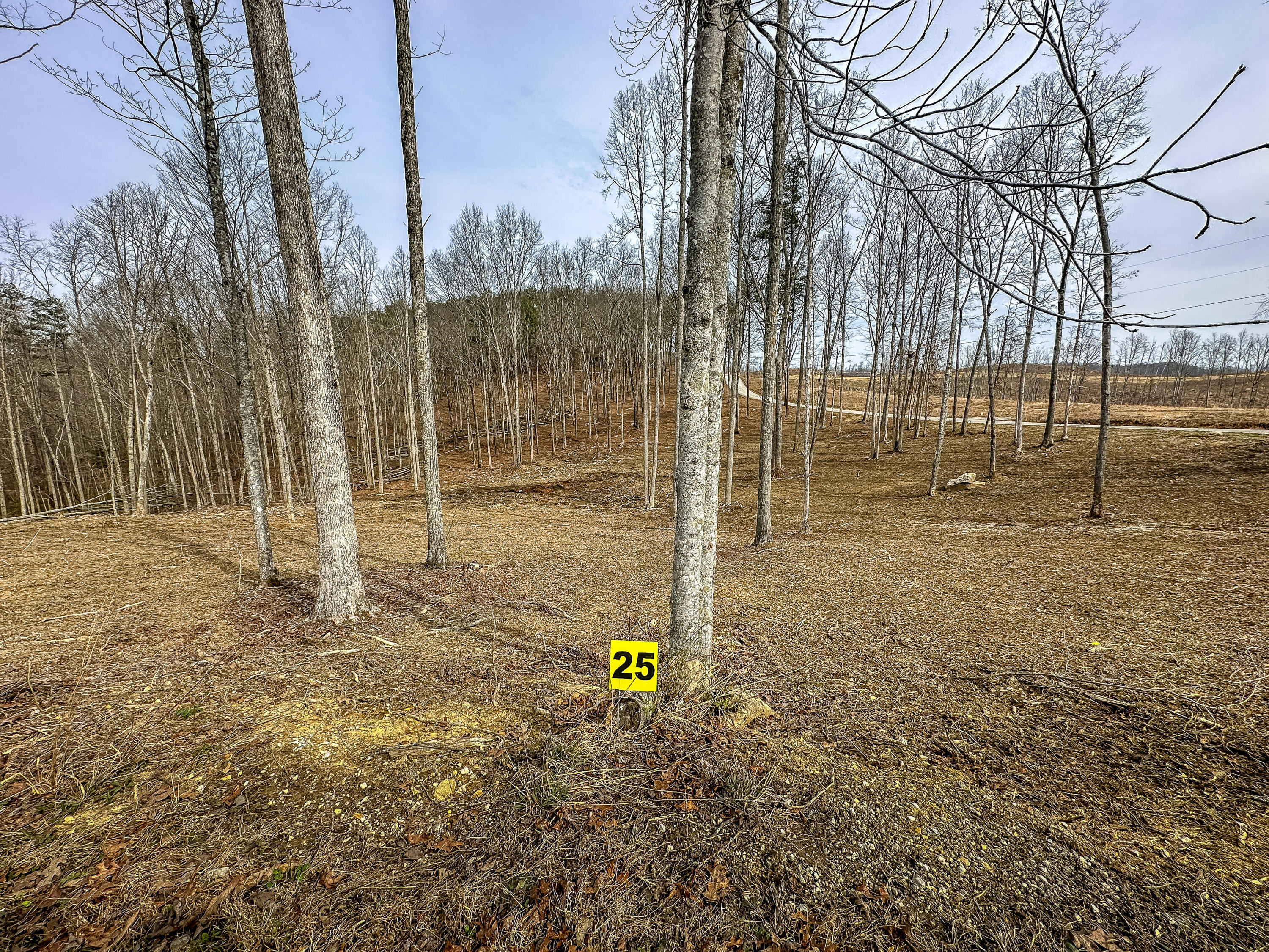 3689 Hazel Patch Road Property Photo 1