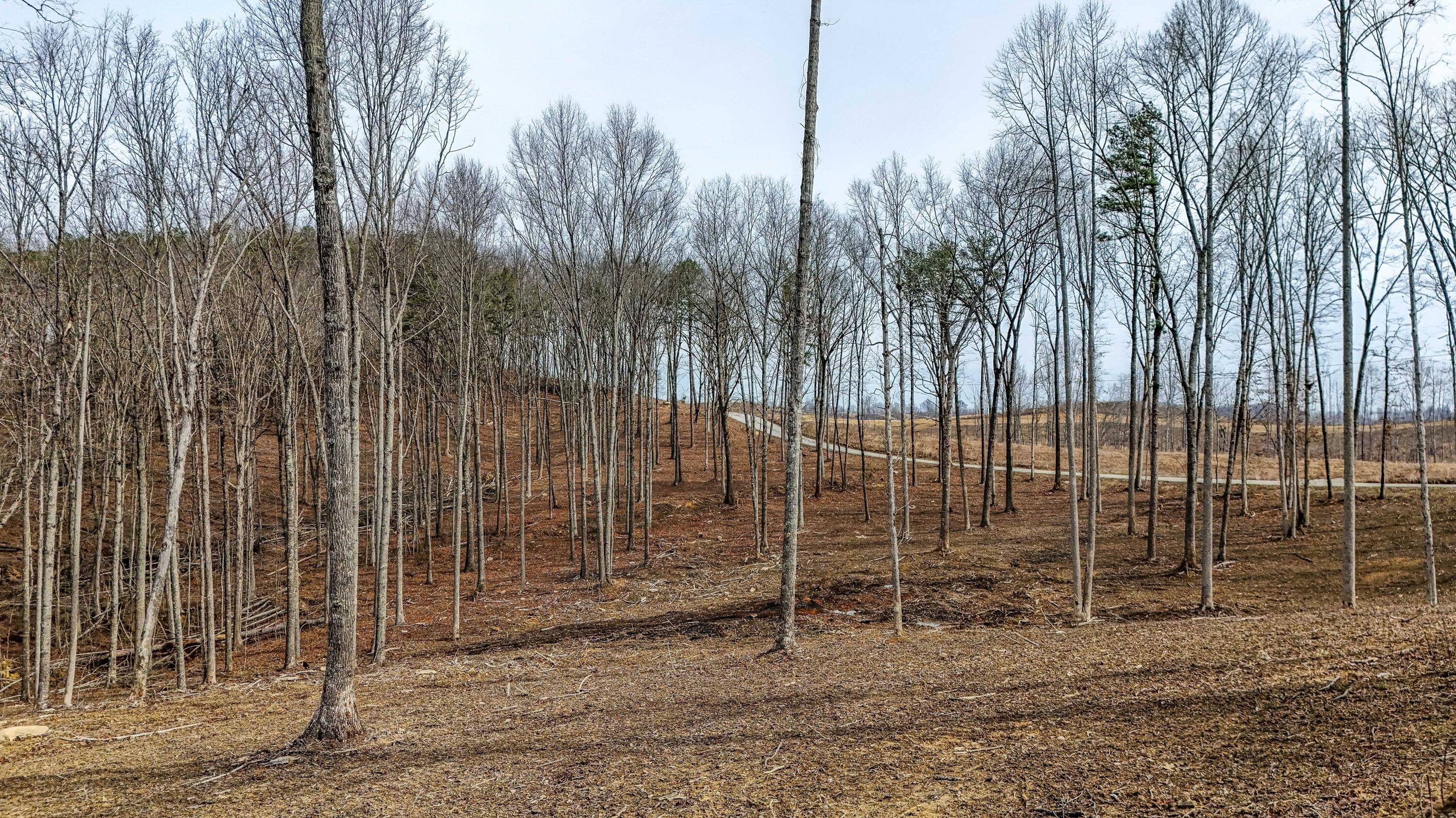 3689 Hazel Patch Road Property Photo 2