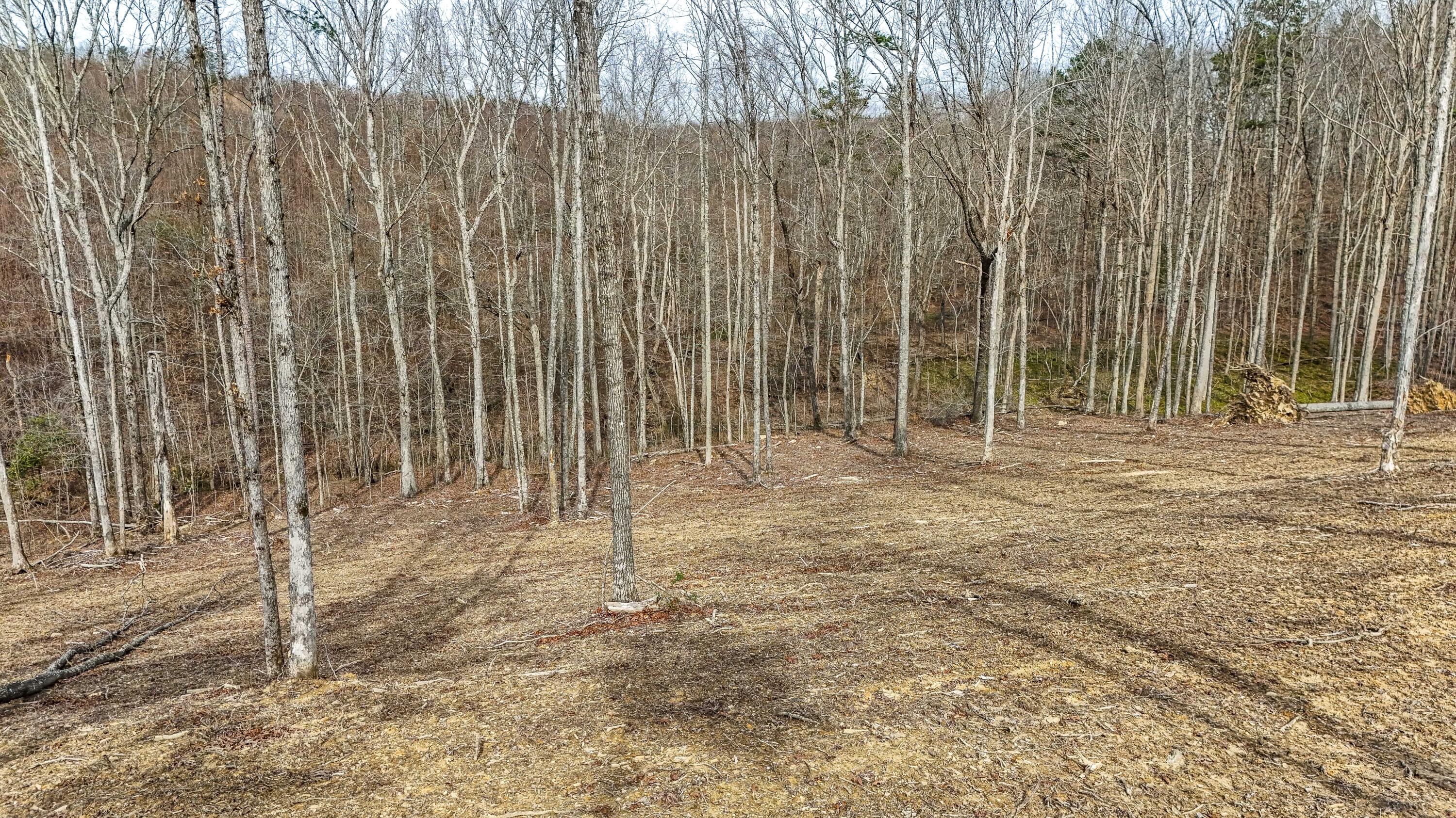 3689 Hazel Patch Road Property Photo 3
