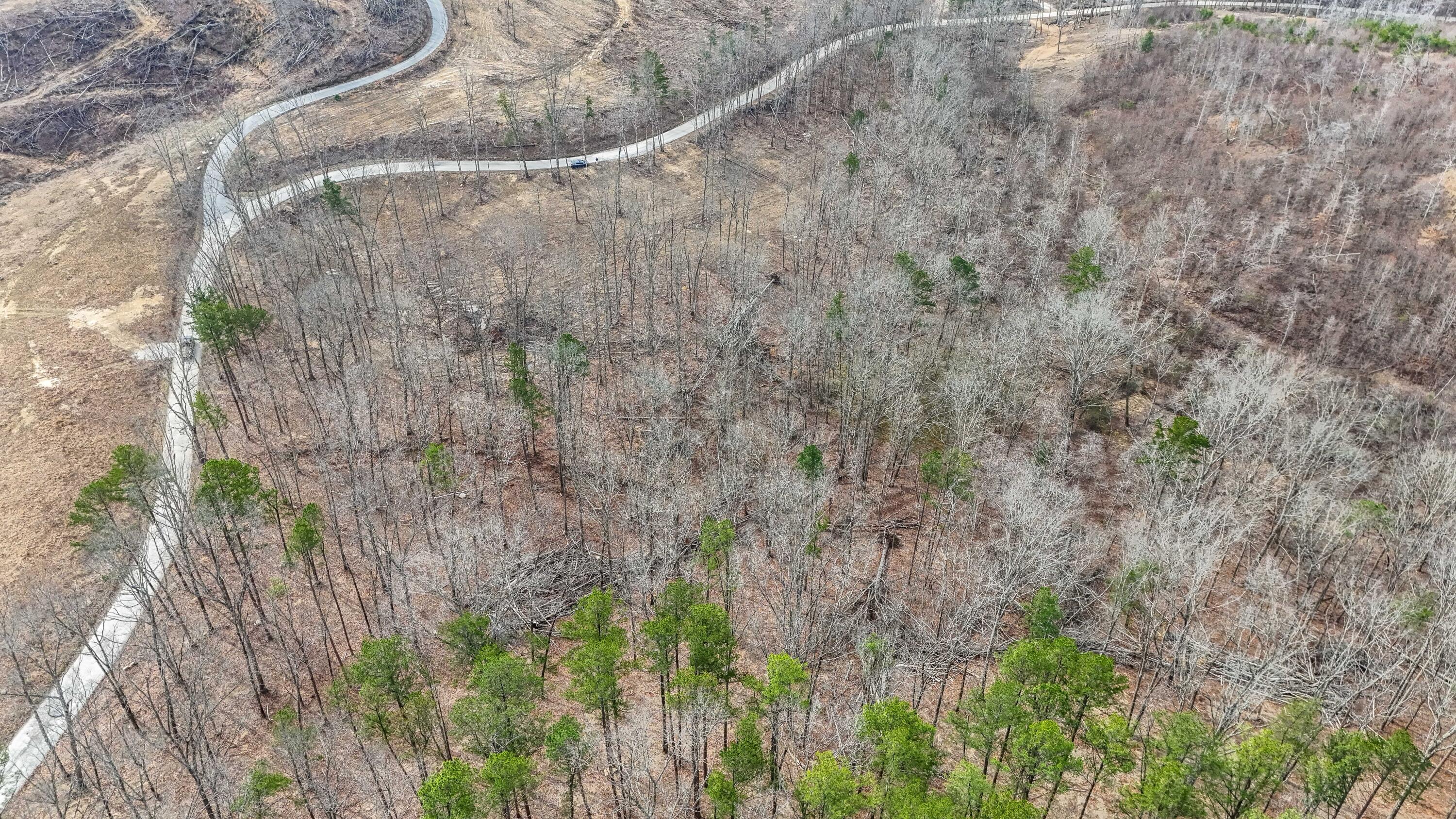 3689 Hazel Patch Road Property Photo 4