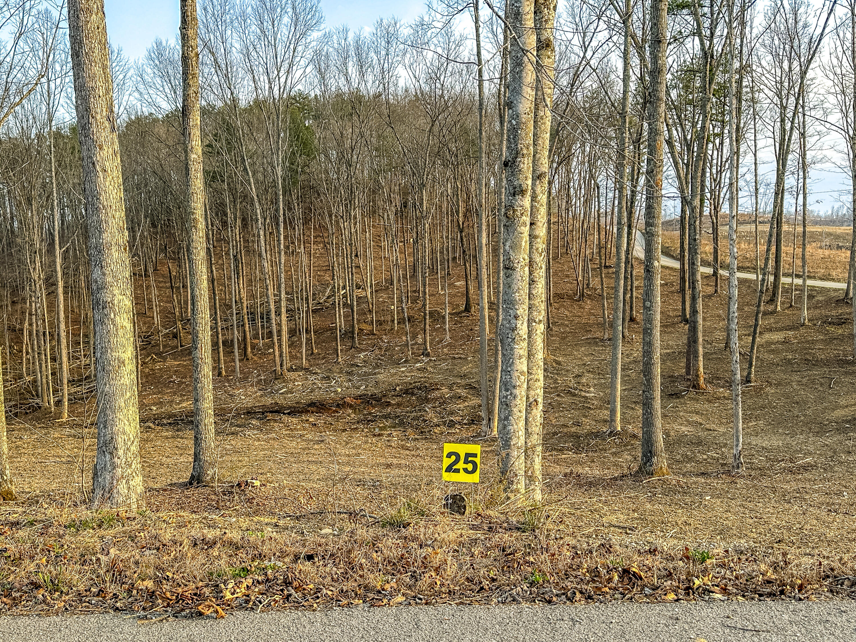 3689 Hazel Patch Road Property Photo 8