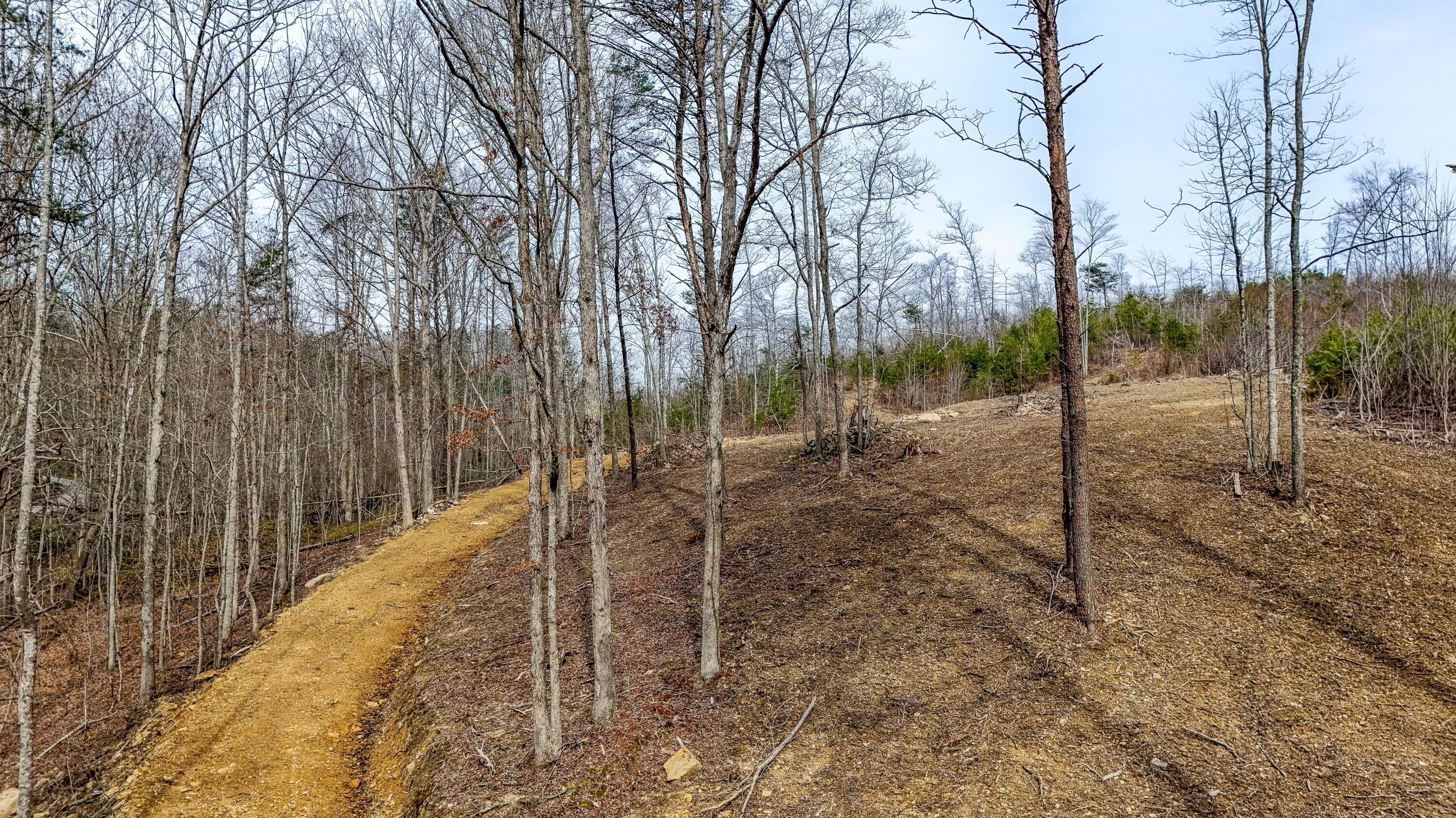 3279 Hazel Patch Road Property Photo 2