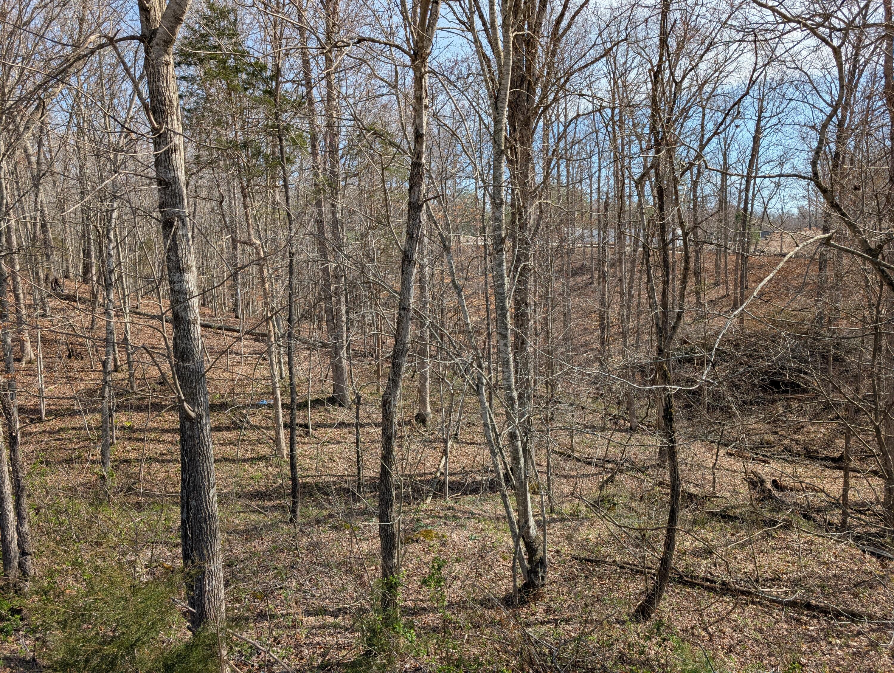Lot 7 Woods Trail Drive 7 Property Photo 3