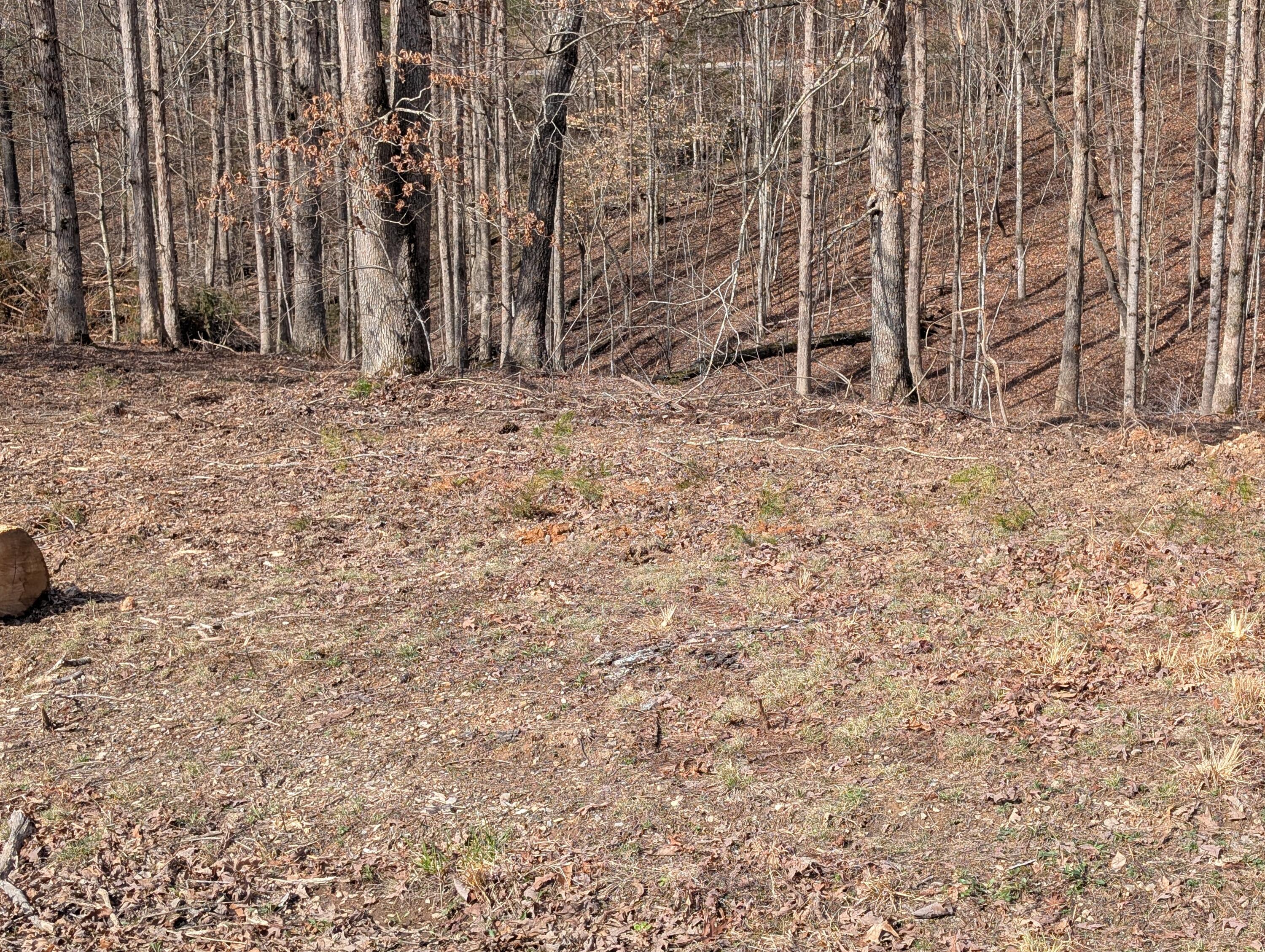 Lot 7 Woods Trail Drive 7 Property Photo 4