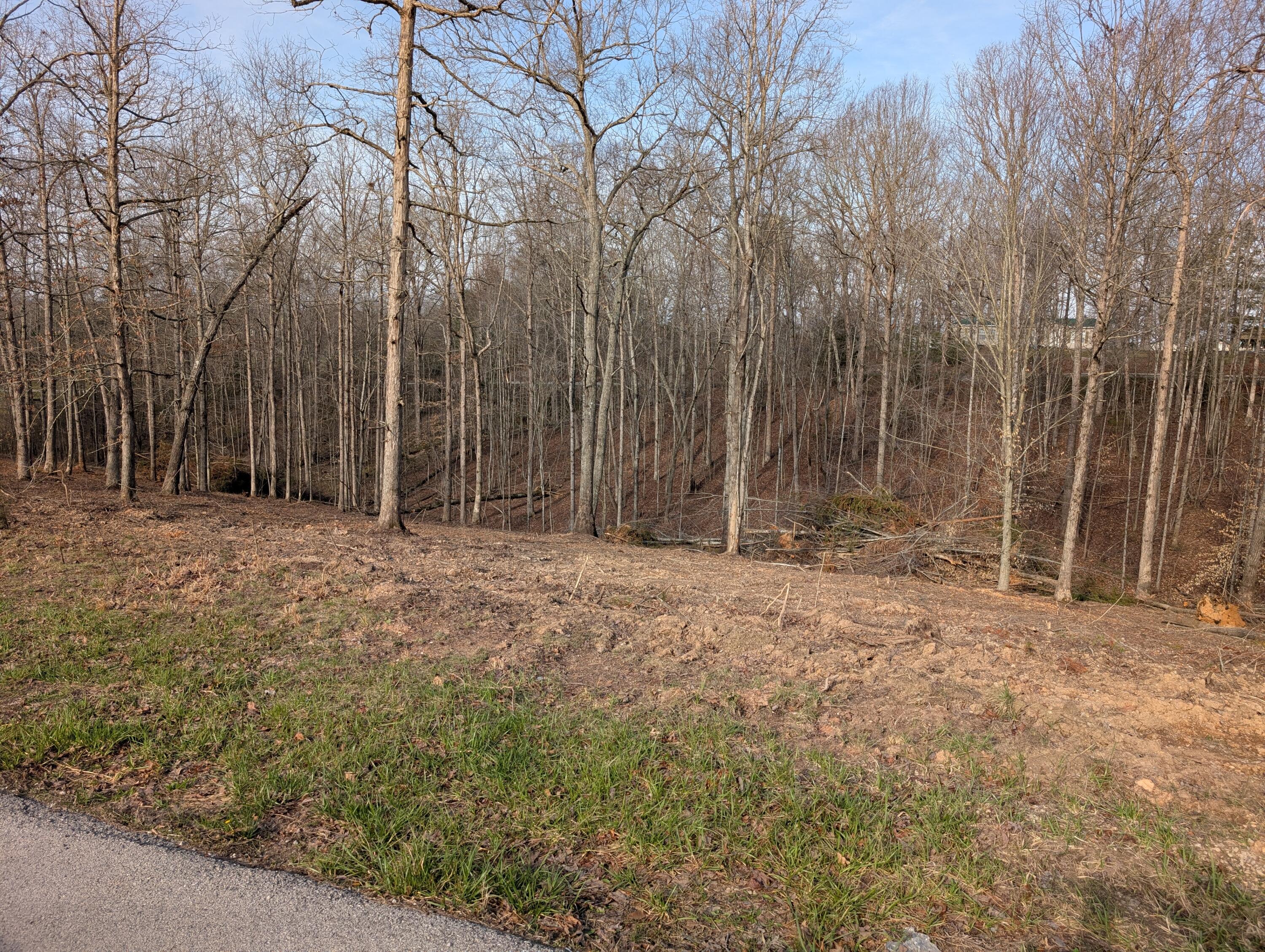 Lot 7 Woods Trail Drive 7 Property Photo 5
