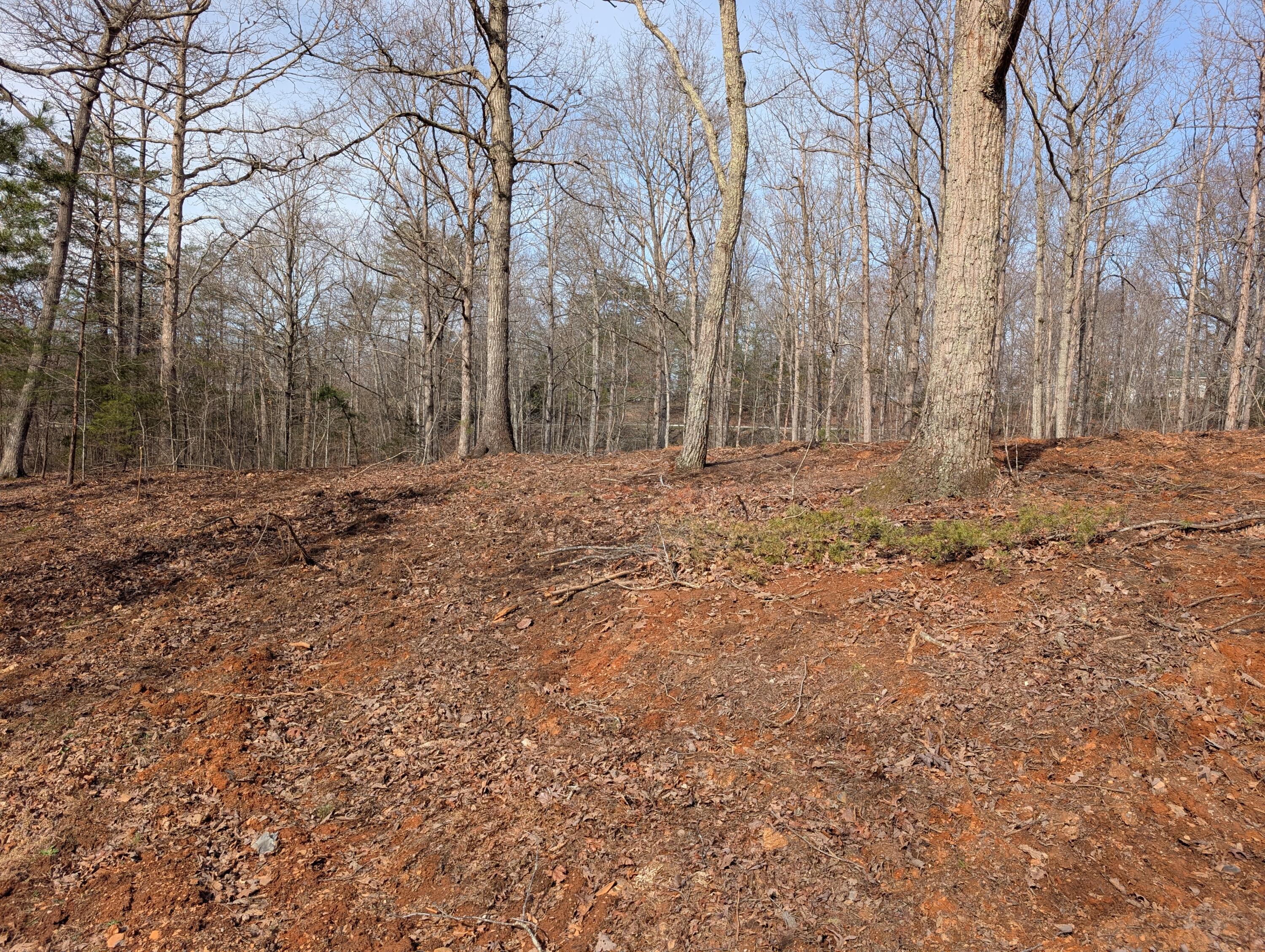 8 Woods Trail Drive 8 Property Photo 3