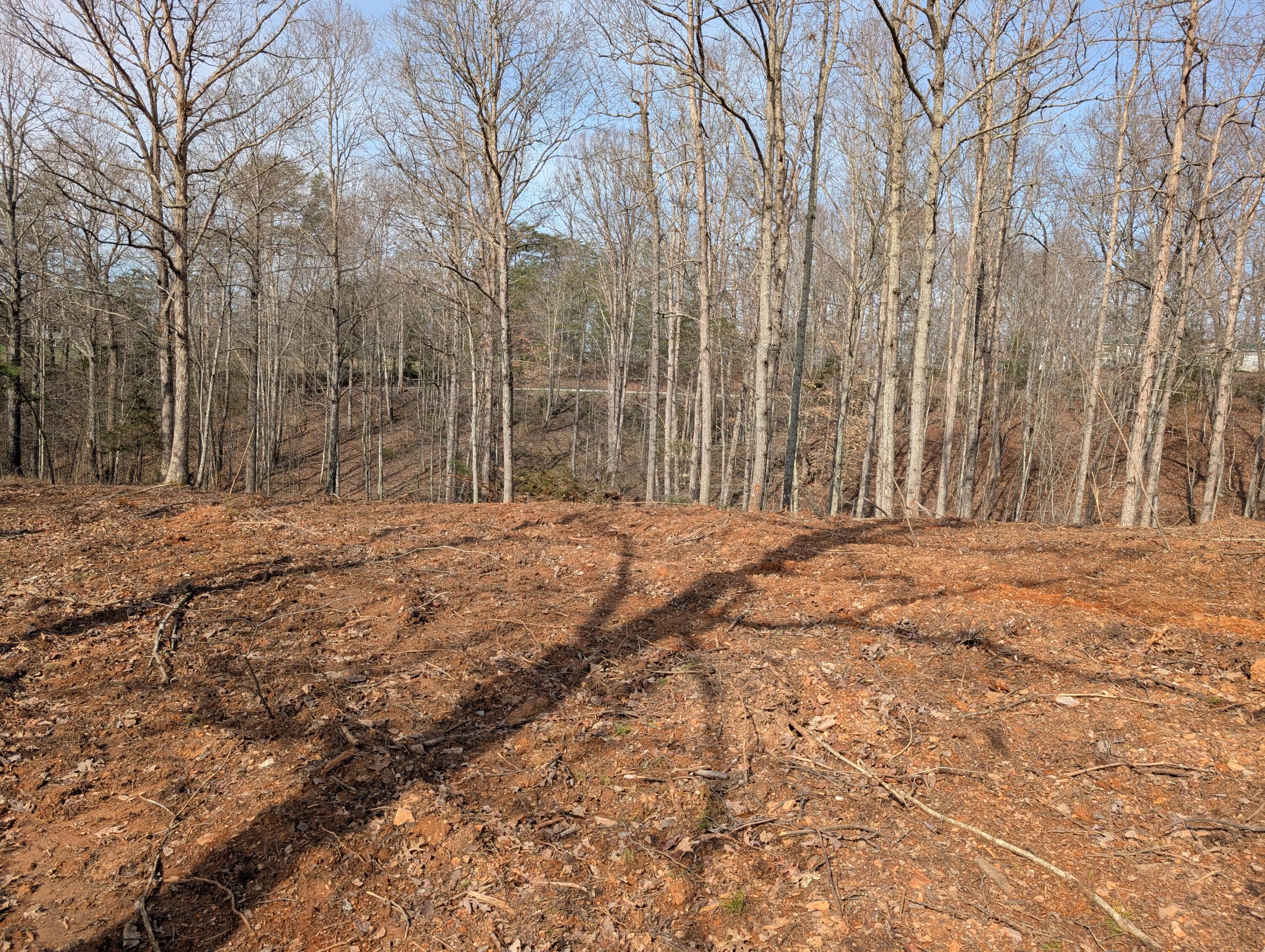 8 Woods Trail Drive 8 Property Photo 4