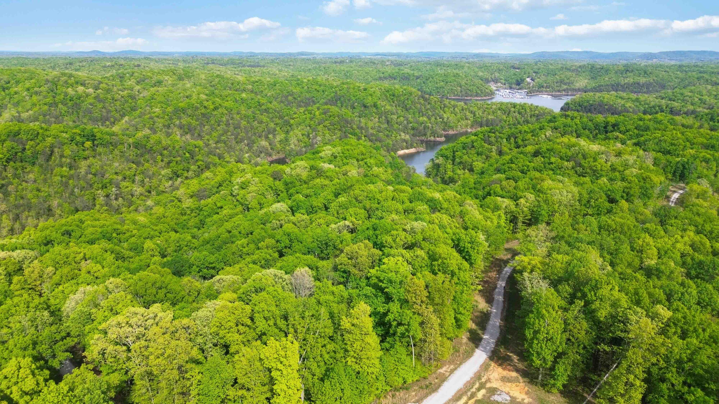 Lot 90 Sandstone Point Trail Property Photo 4