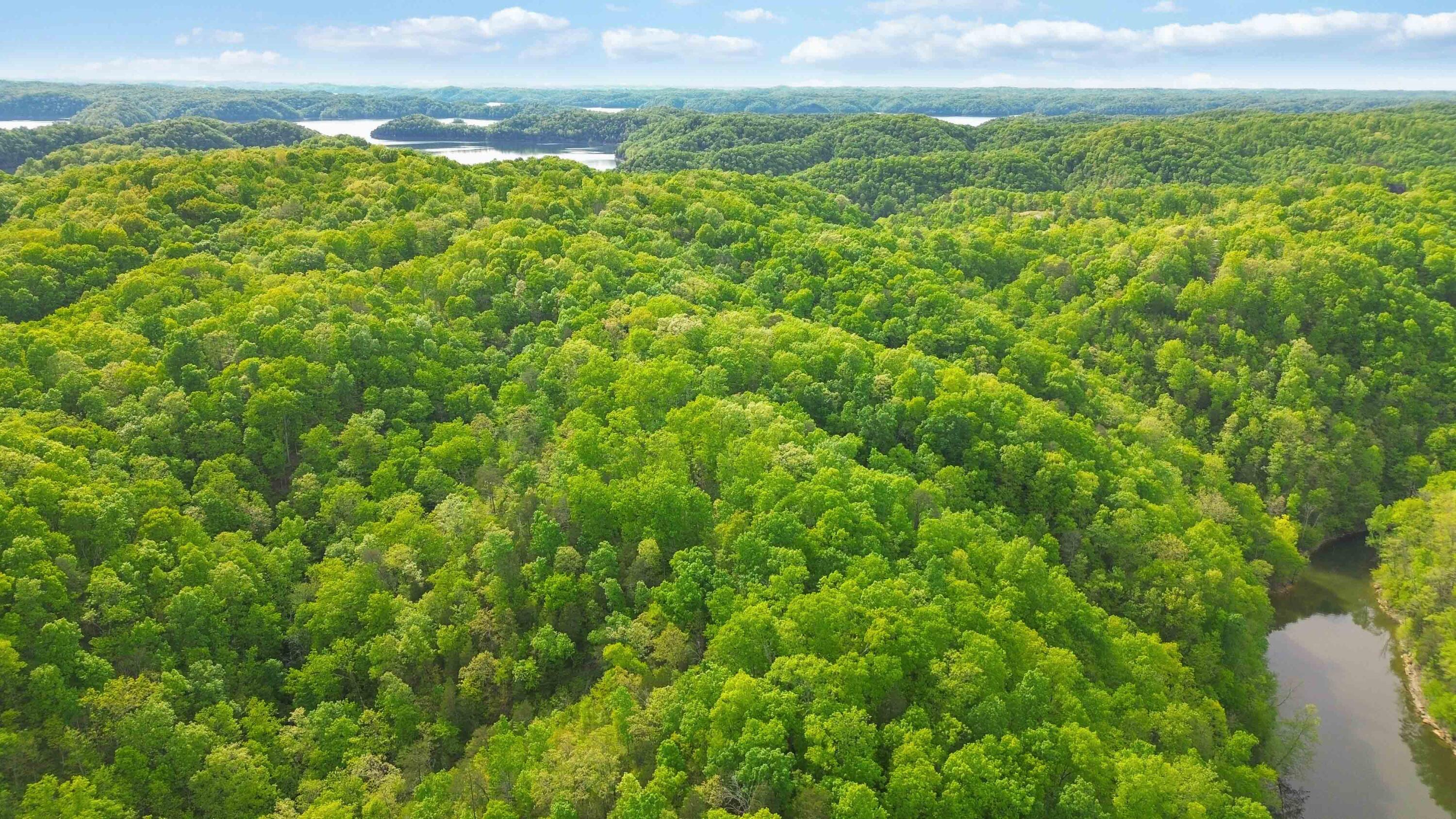 Lot 90 Sandstone Point Trail Property Photo 6
