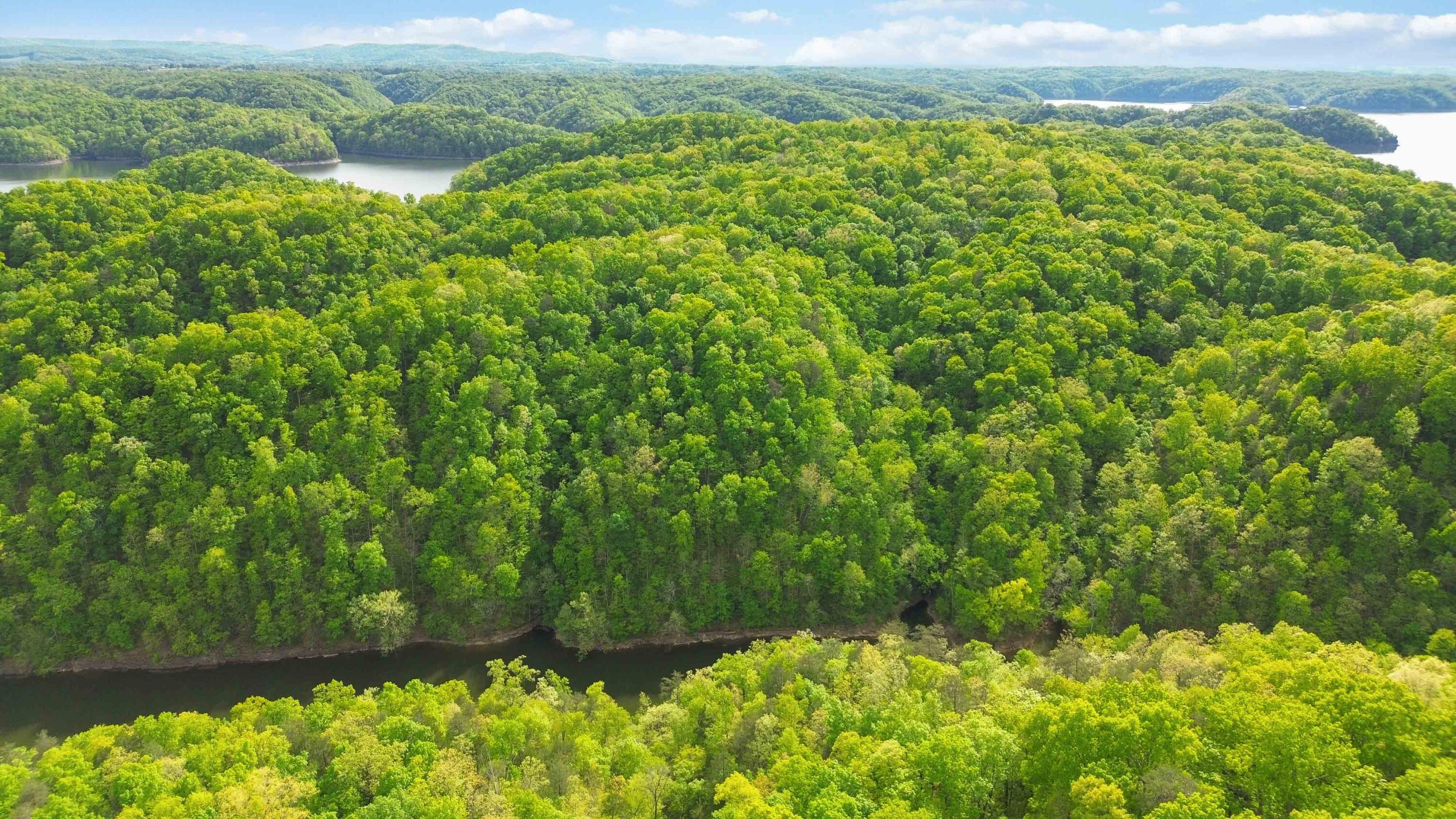 Lot 90 Sandstone Point Trail Property Photo 9