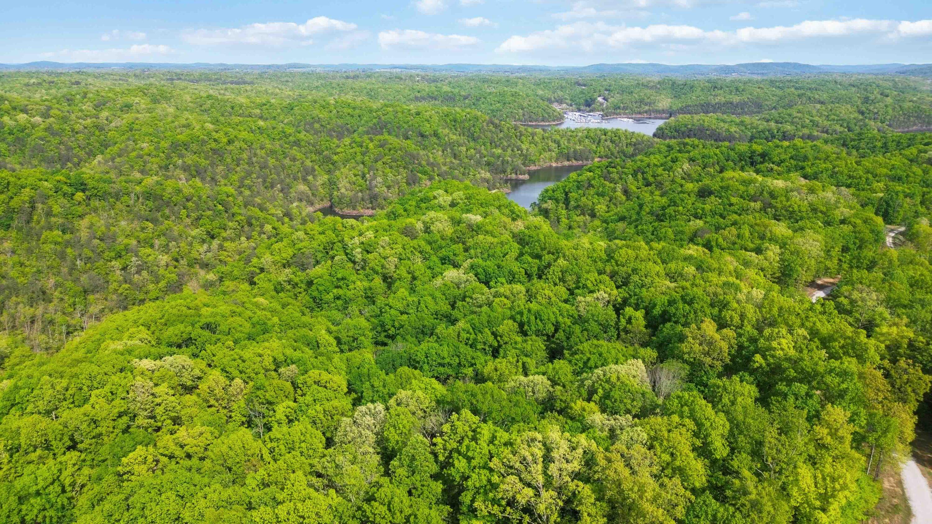 Lot 90 Sandstone Point Trail Property Photo 10