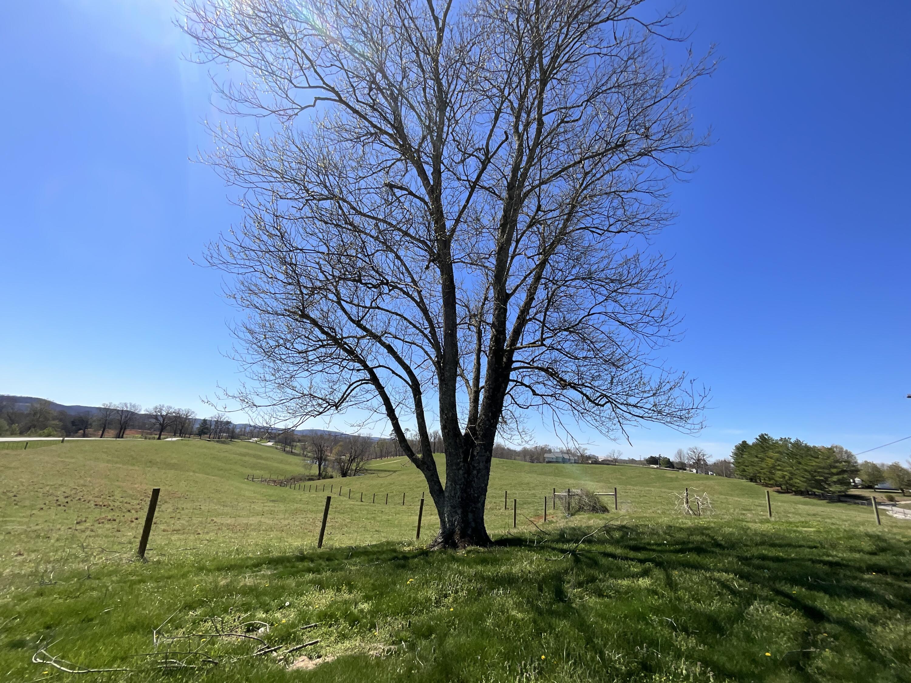 675 Slate Branch Spur Property Photo 45