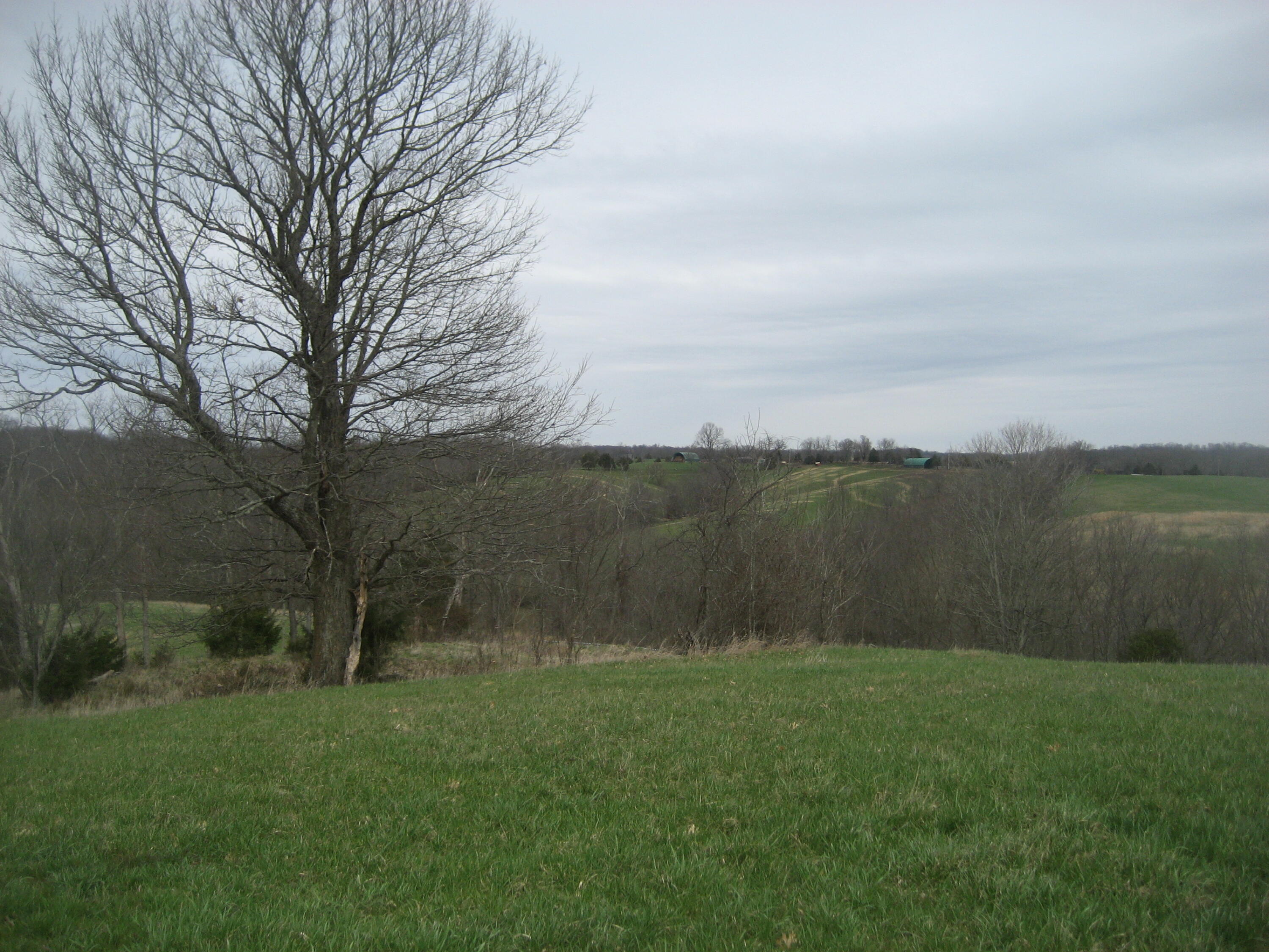 0000 N North Rays Fork Road Property Photo 1