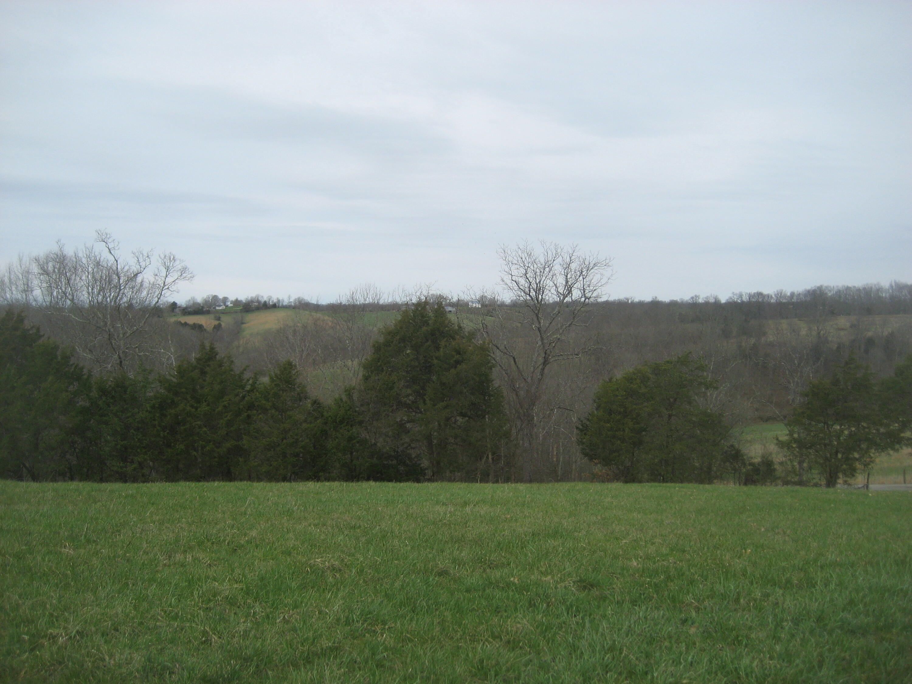 0000 N North Rays Fork Road Property Photo 2