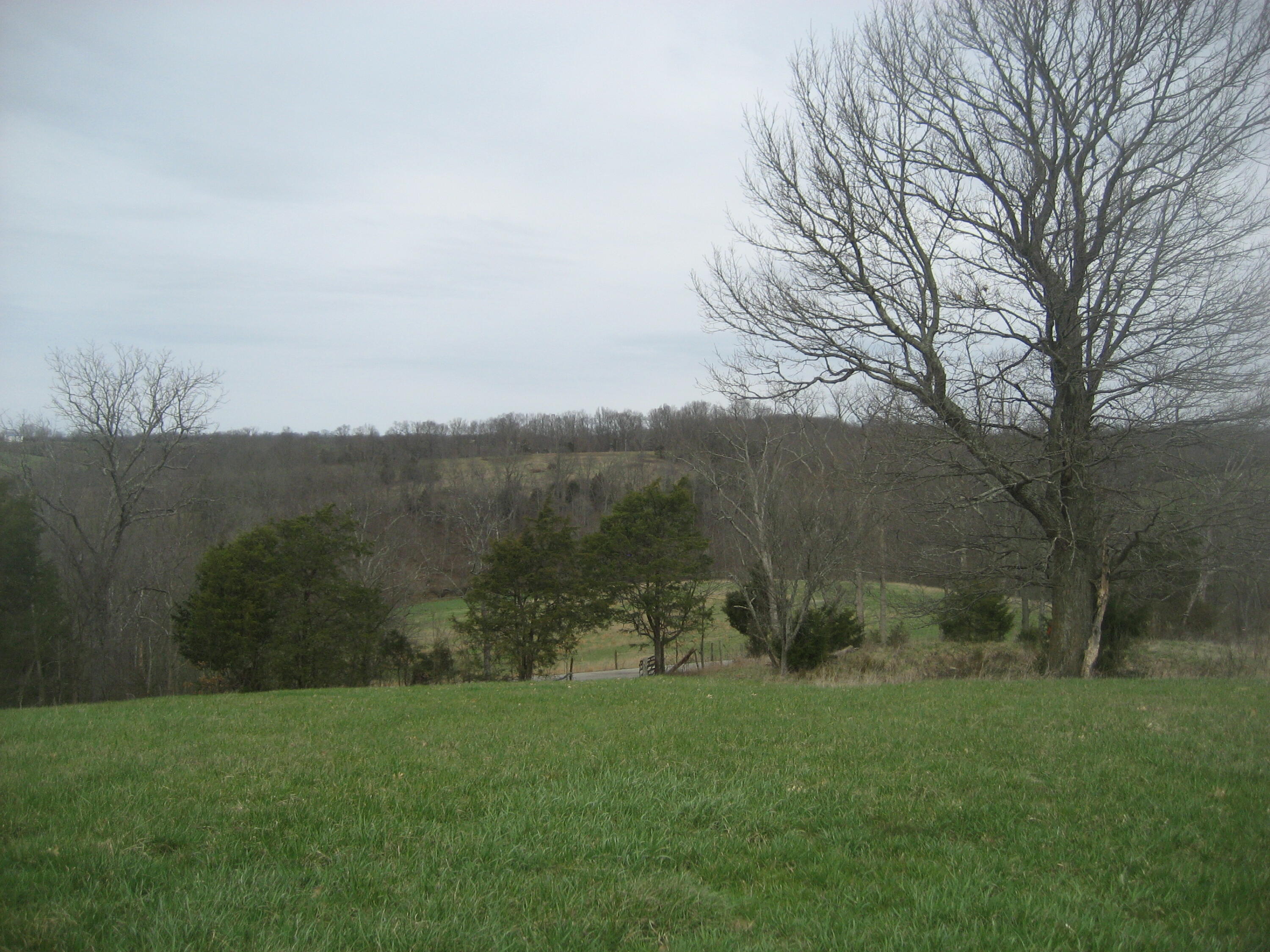 0000 N North Rays Fork Road Property Photo 3
