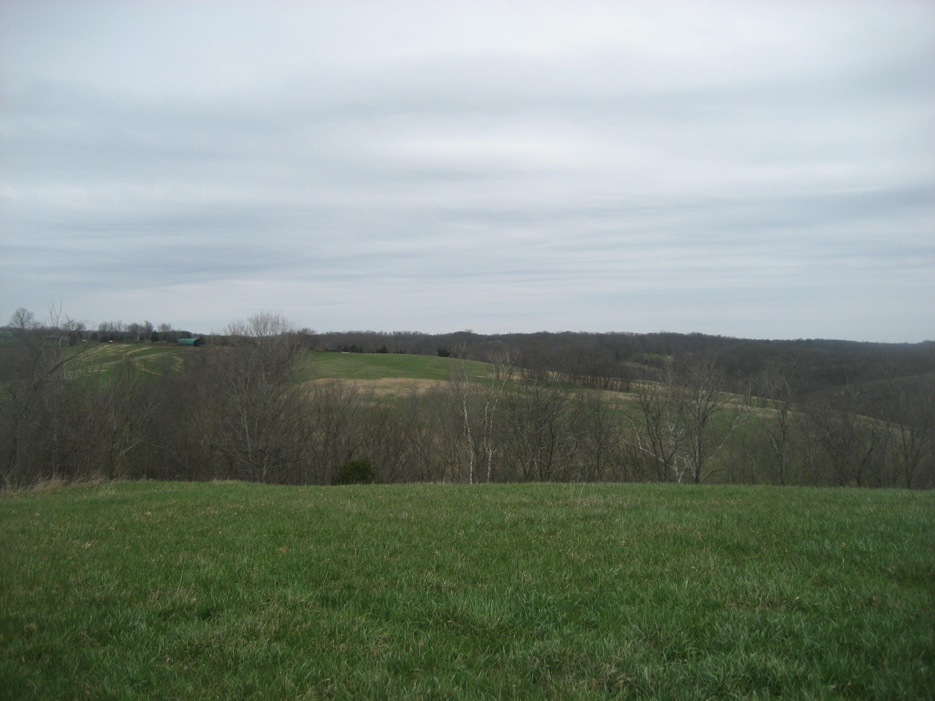0000 N North Rays Fork Road Property Photo 4