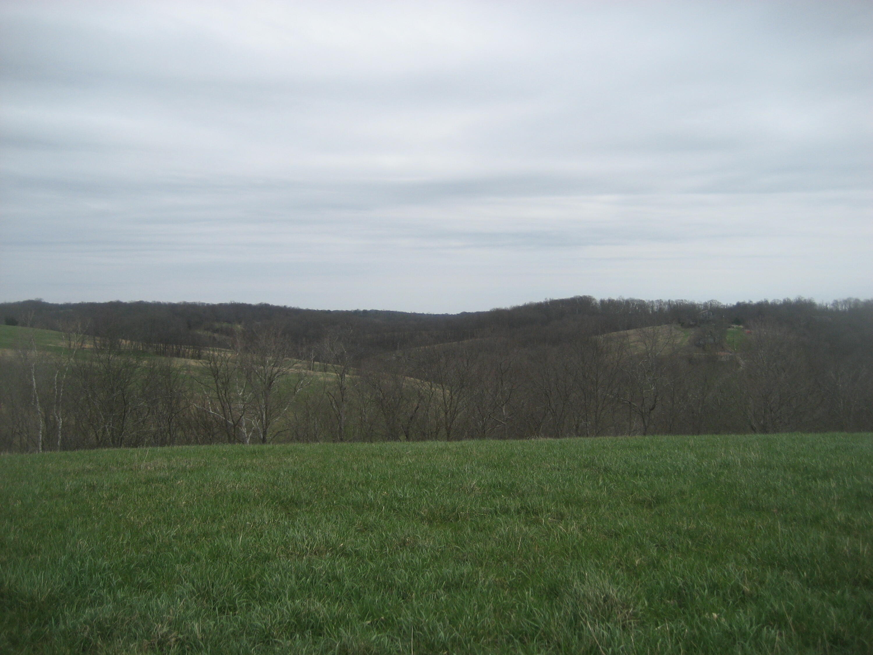 0000 N North Rays Fork Road Property Photo 5
