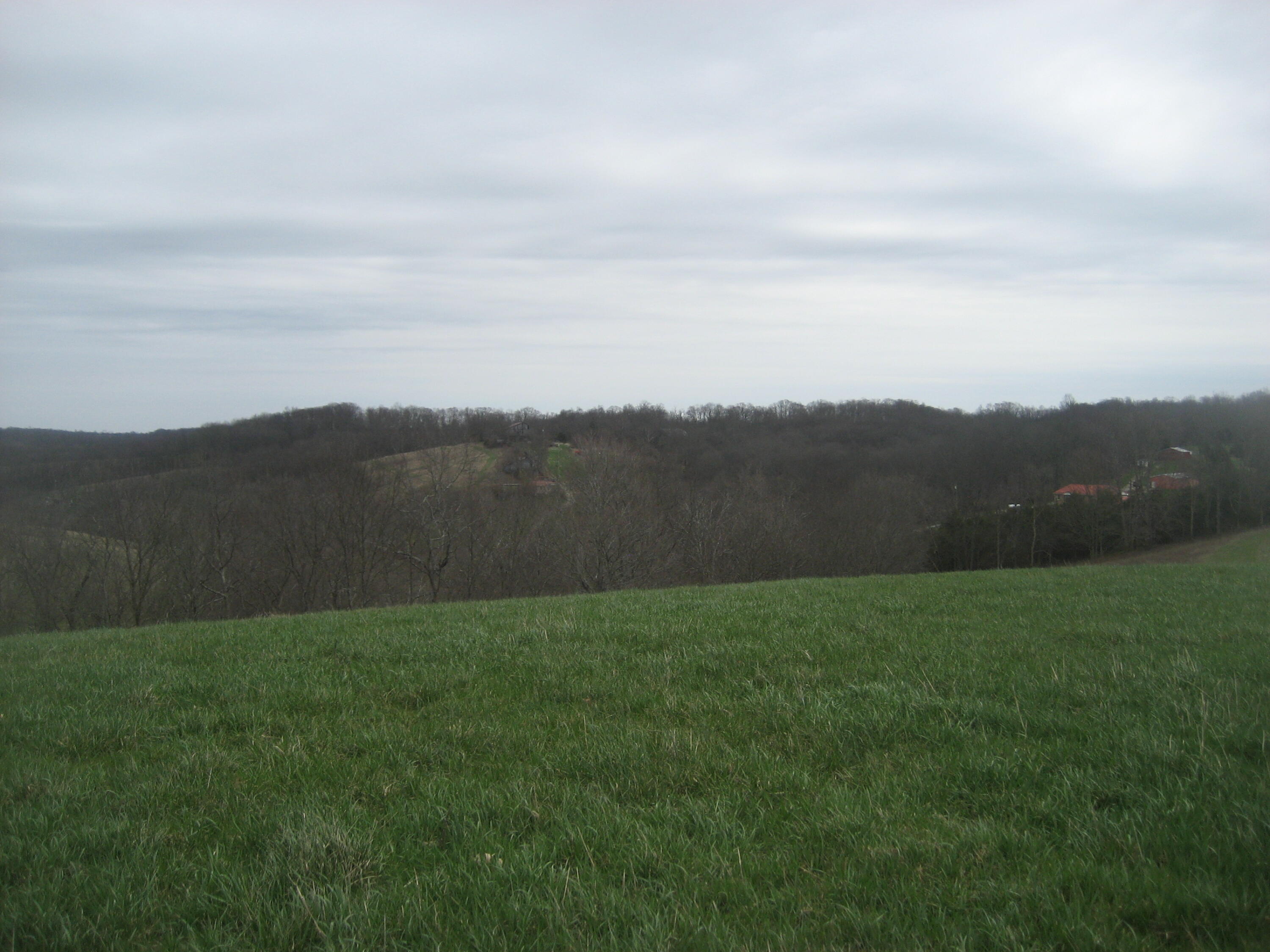 0000 N North Rays Fork Road Property Photo 6