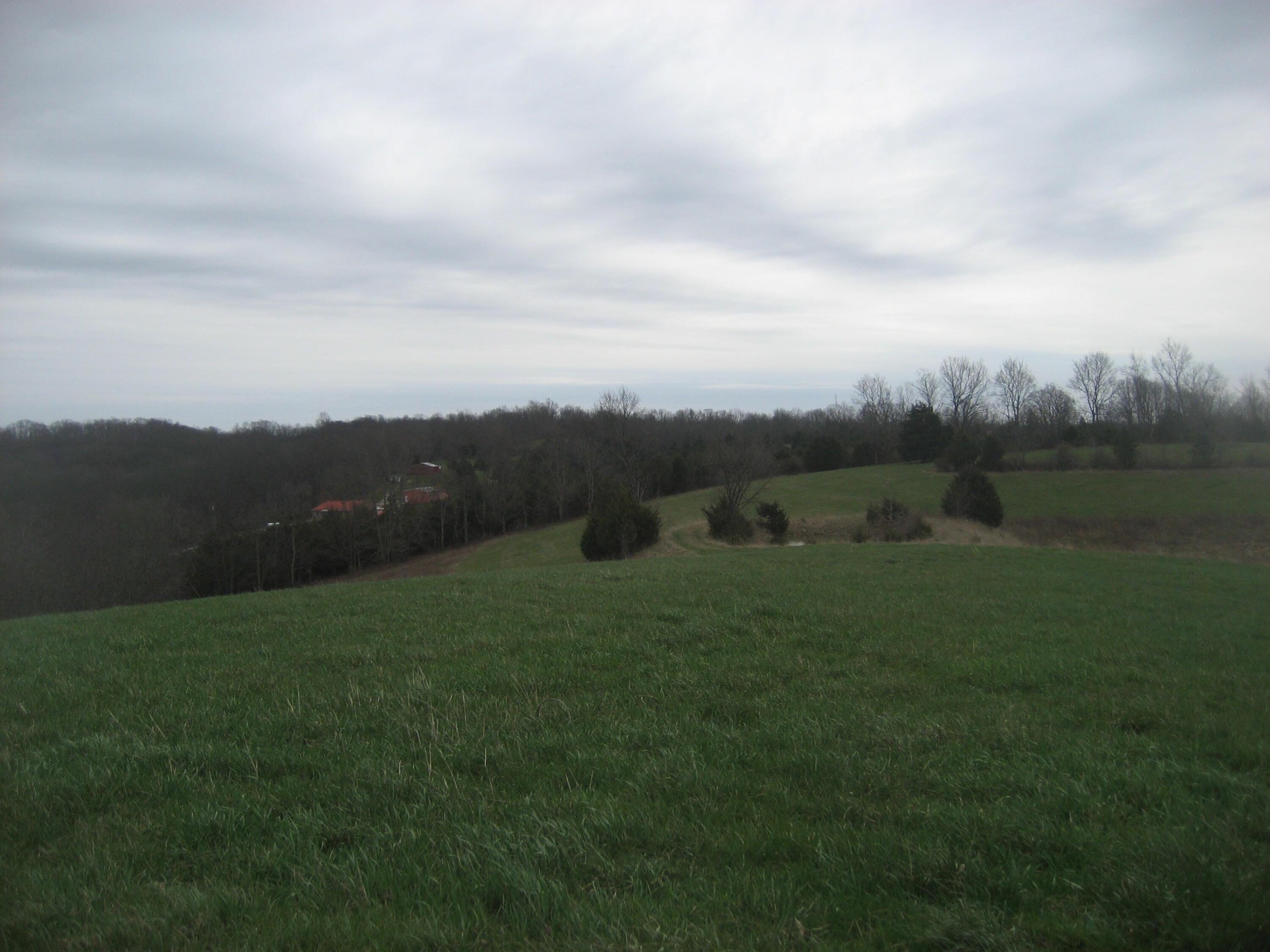 0000 N North Rays Fork Road Property Photo 7
