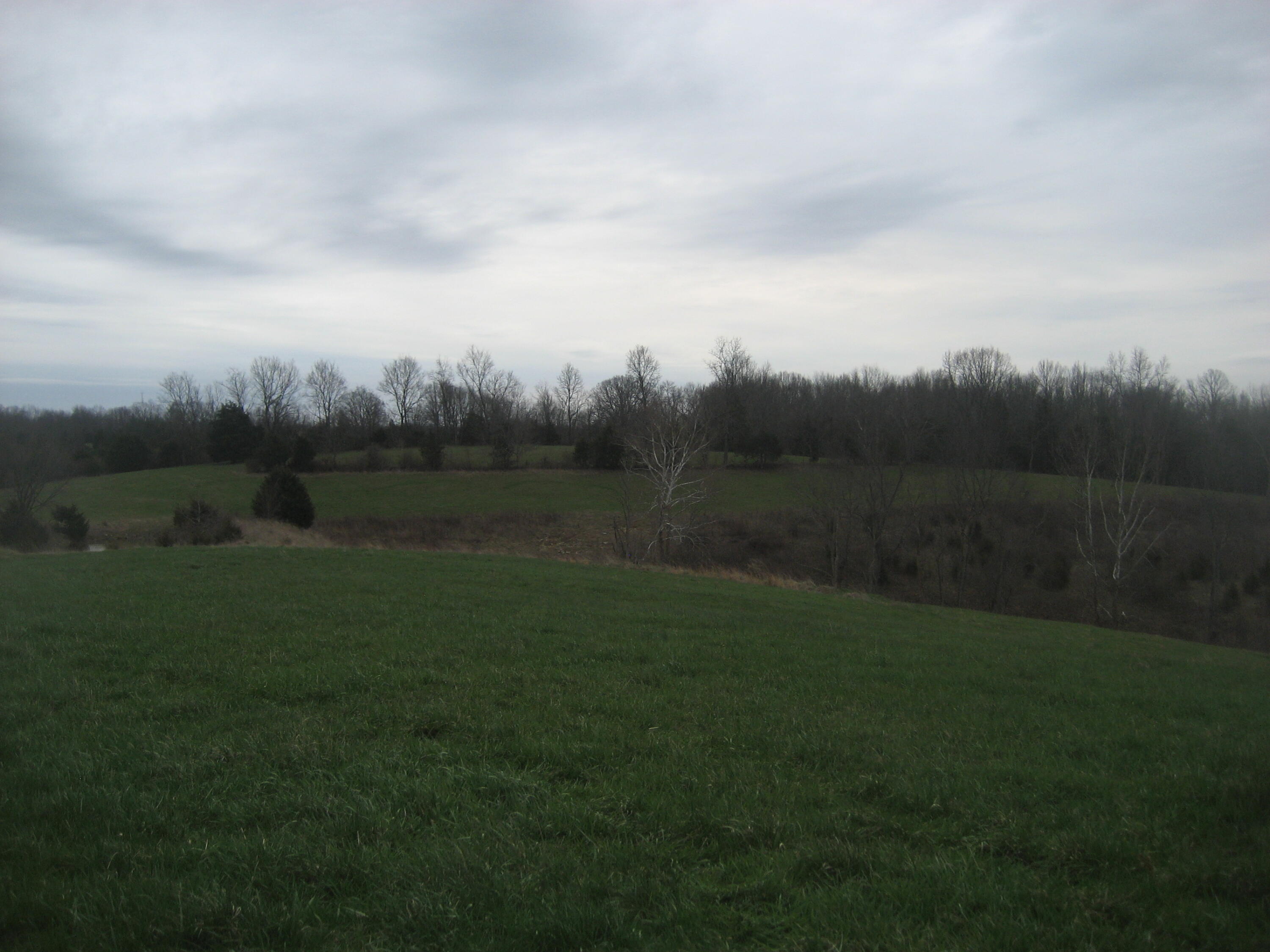 0000 N North Rays Fork Road Property Photo 8