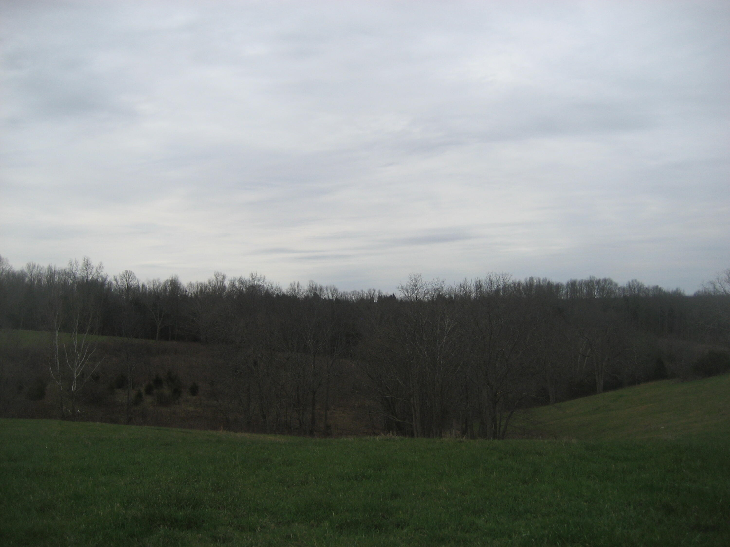 0000 N North Rays Fork Road Property Photo 9