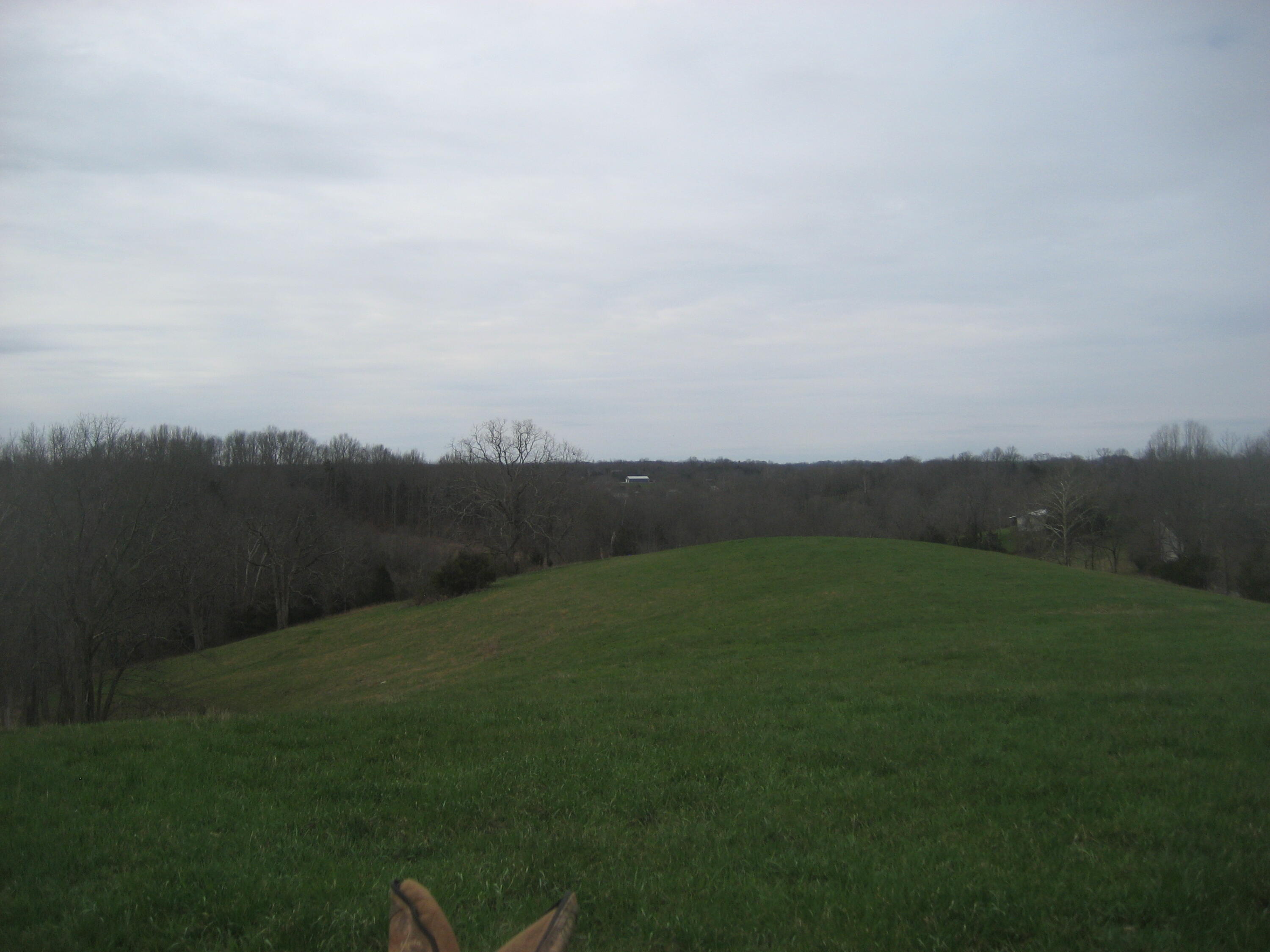 0000 N North Rays Fork Road Property Photo 10