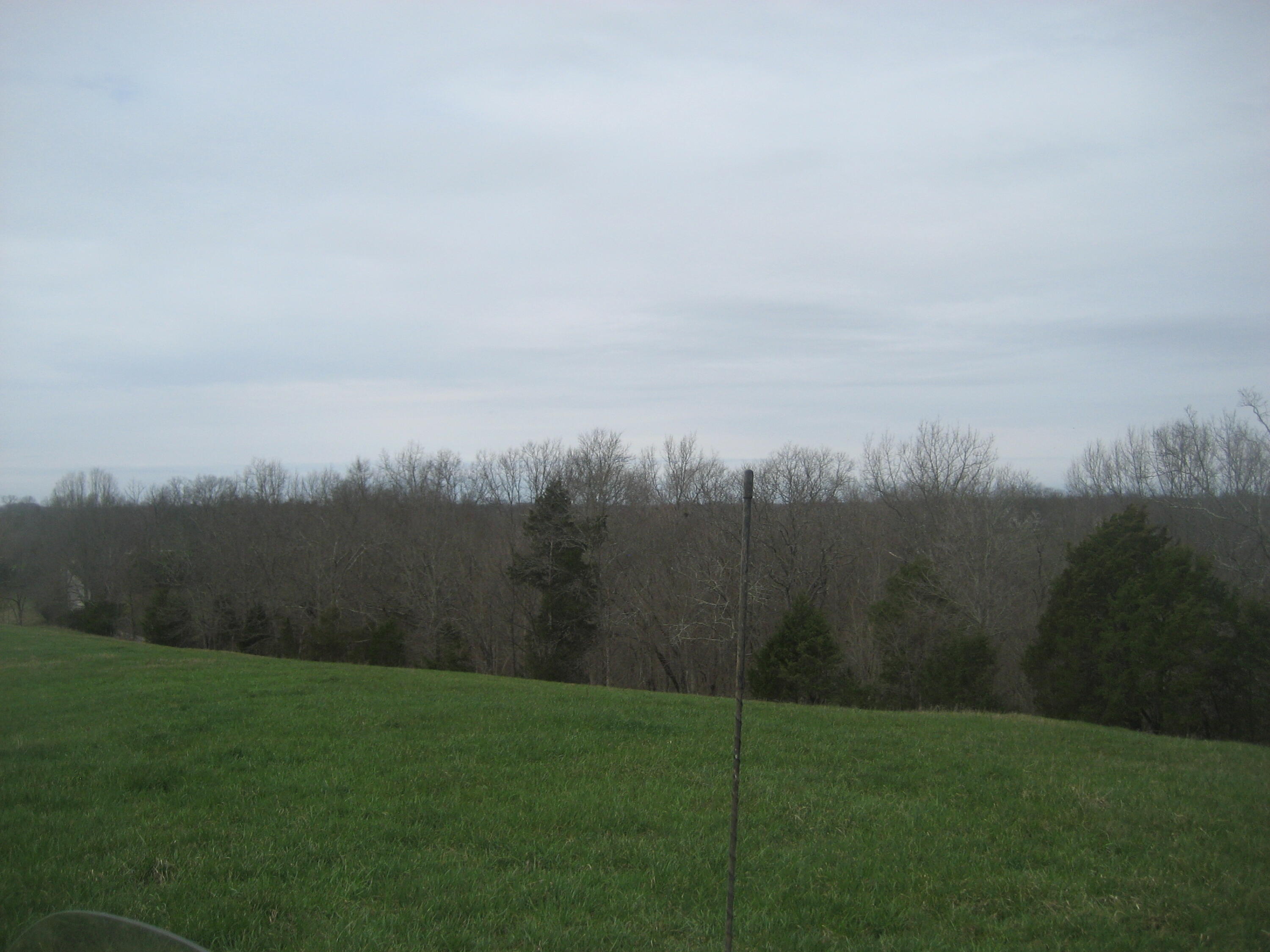 0000 N North Rays Fork Road Property Photo 12