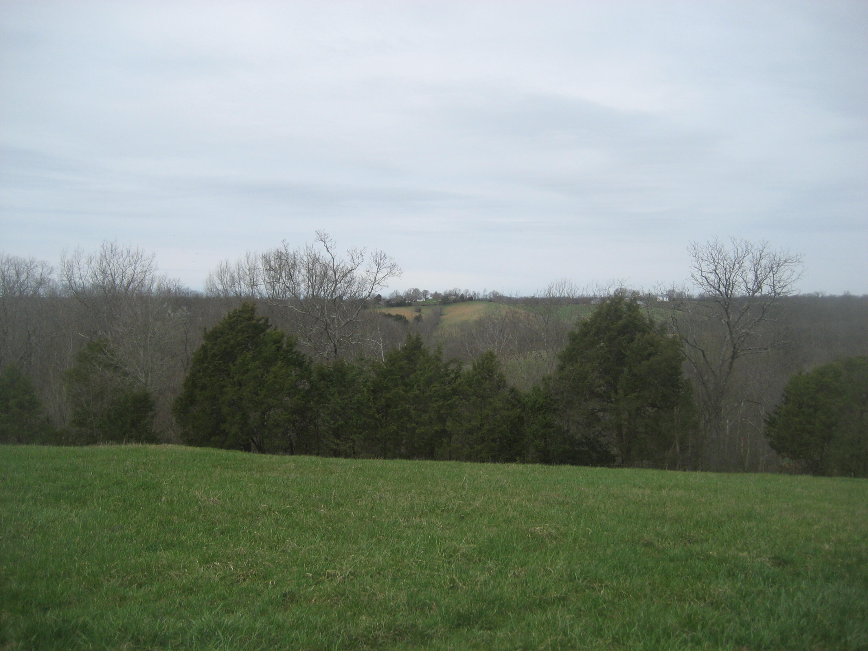0000 N North Rays Fork Road Property Photo 13
