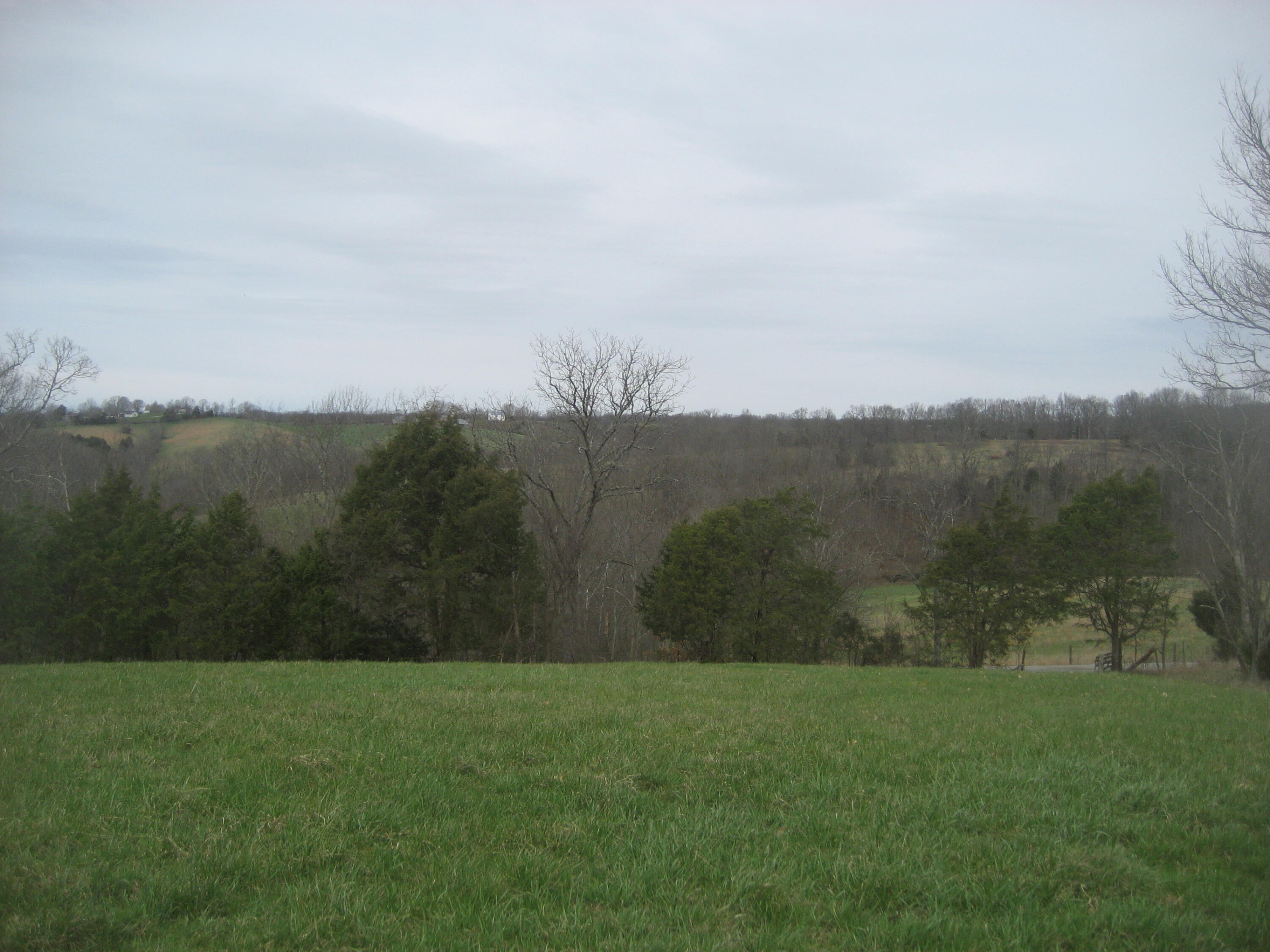 0000 N North Rays Fork Road Property Photo 14