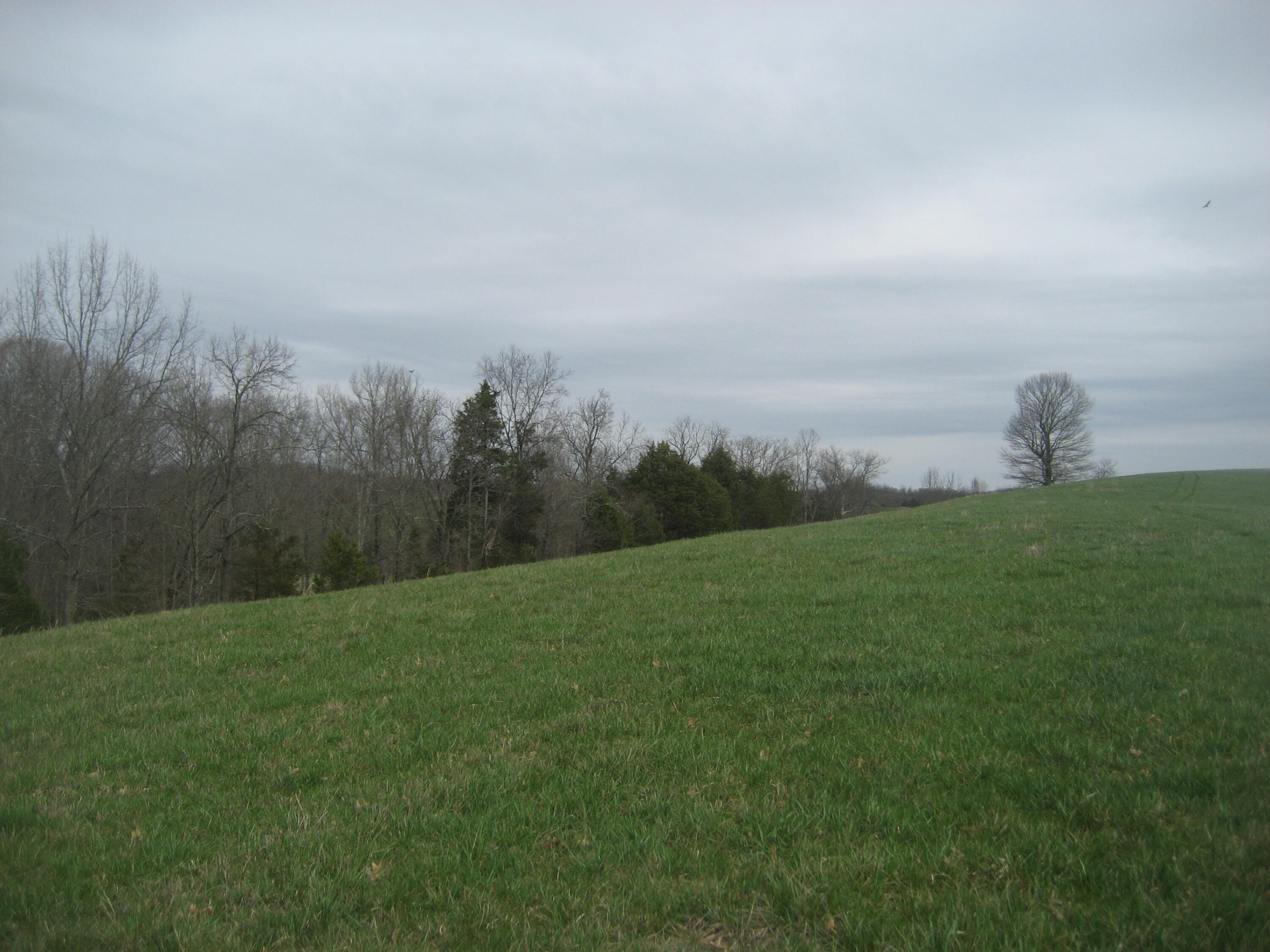 0000 N North Rays Fork Road Property Photo 15