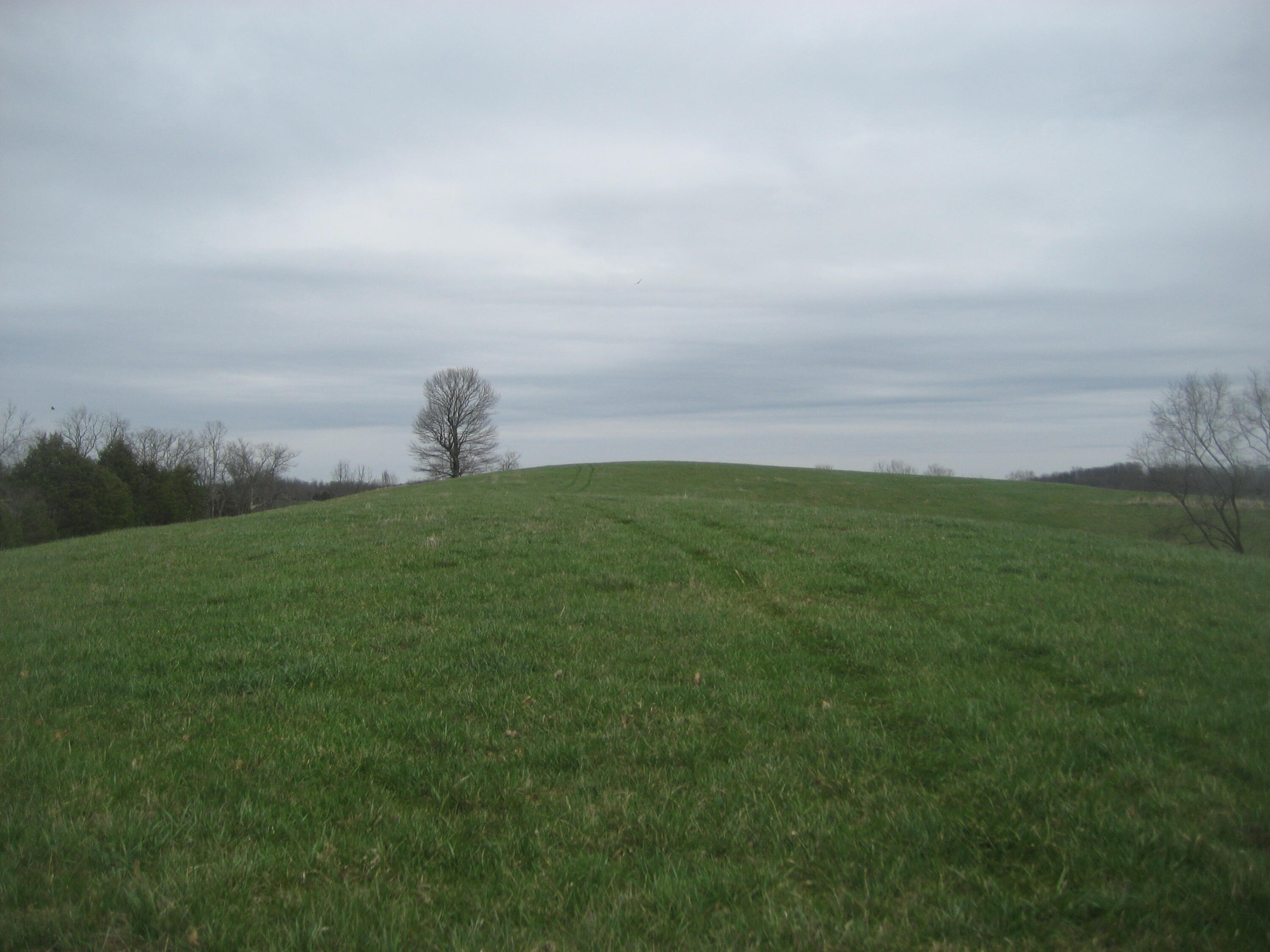 0000 N North Rays Fork Road Property Photo 16