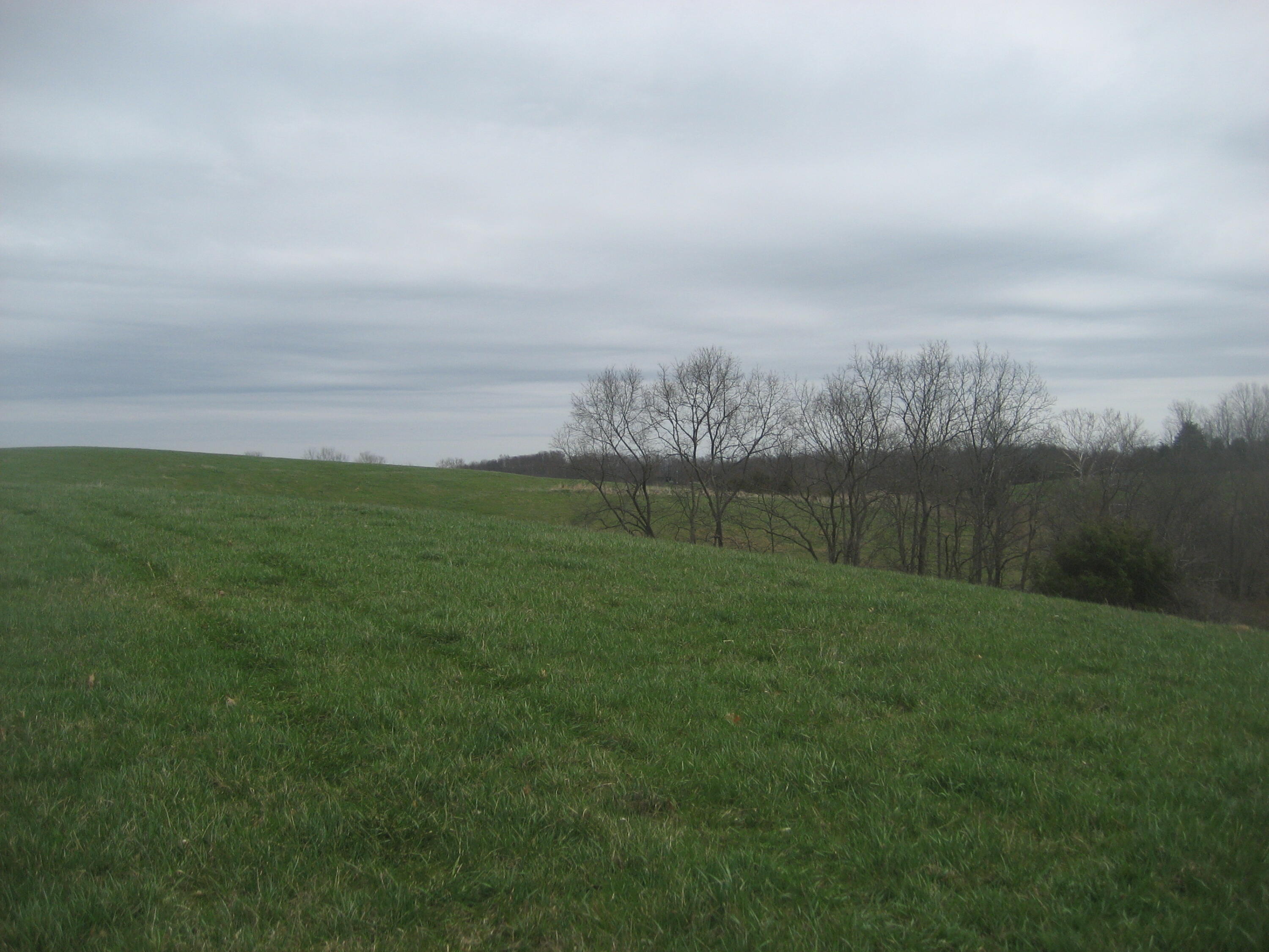 0000 N North Rays Fork Road Property Photo 17