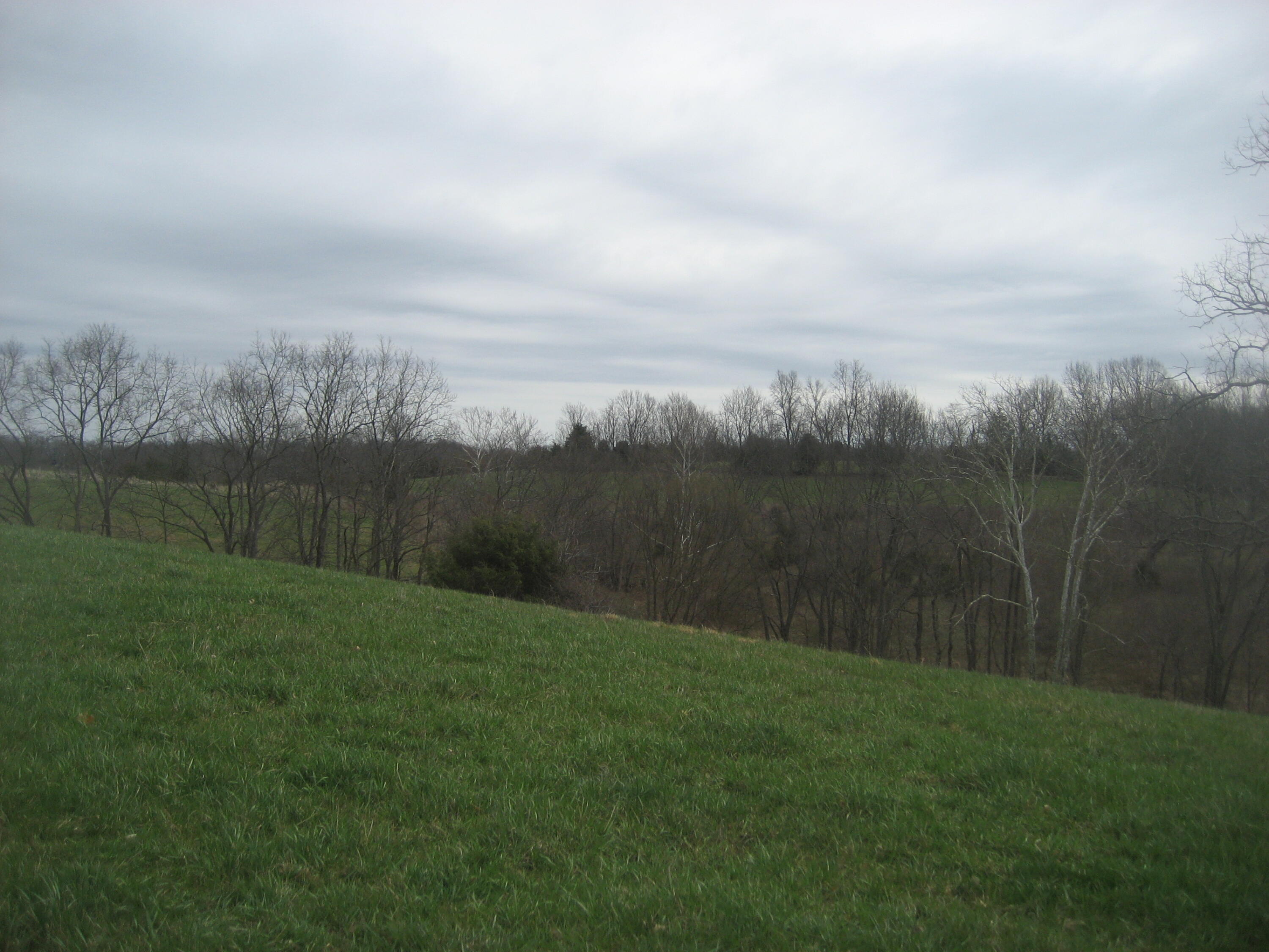 0000 N North Rays Fork Road Property Photo 18