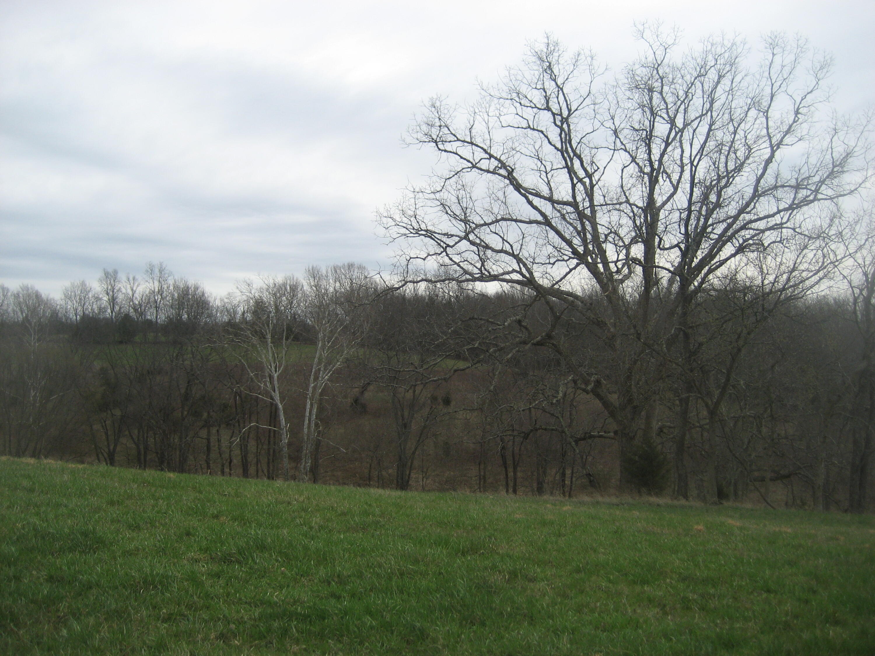 0000 N North Rays Fork Road Property Photo 19